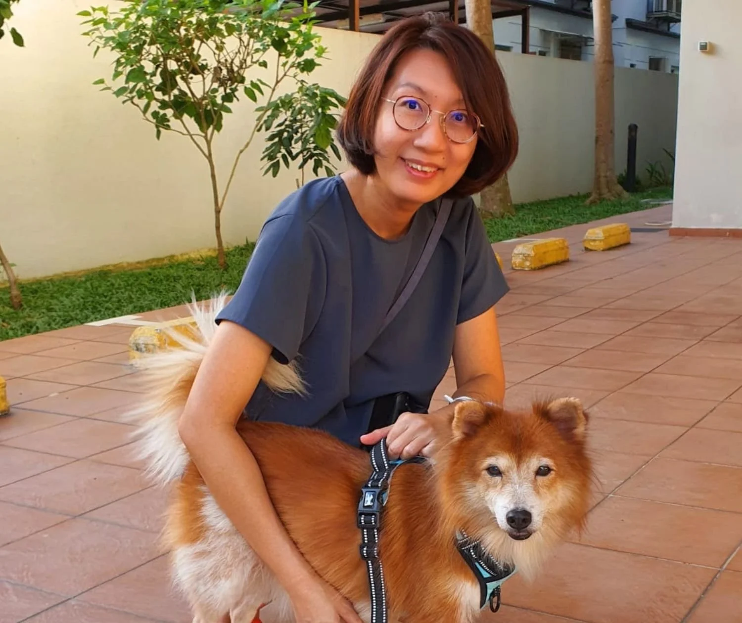 A woman with short brown hair and glasses smiling while sitting outdoors with a large brown and white dog on a harness.