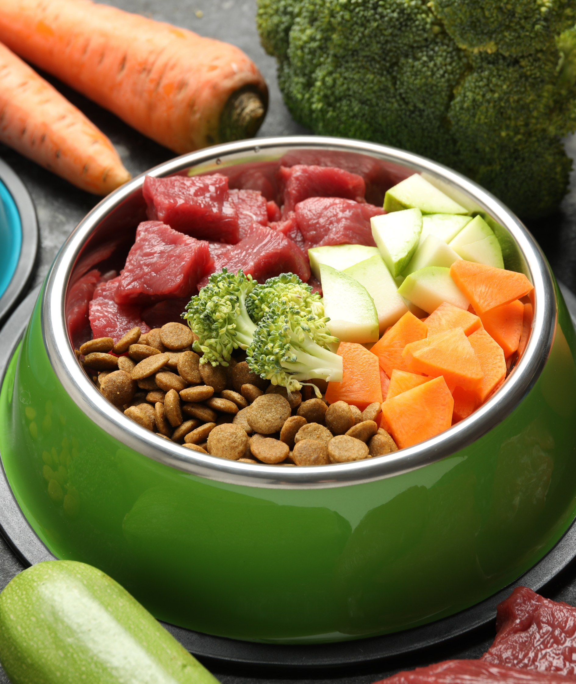 Fresh meat and vegetable ingredients for fresh dog or cat food in a pet food bowl