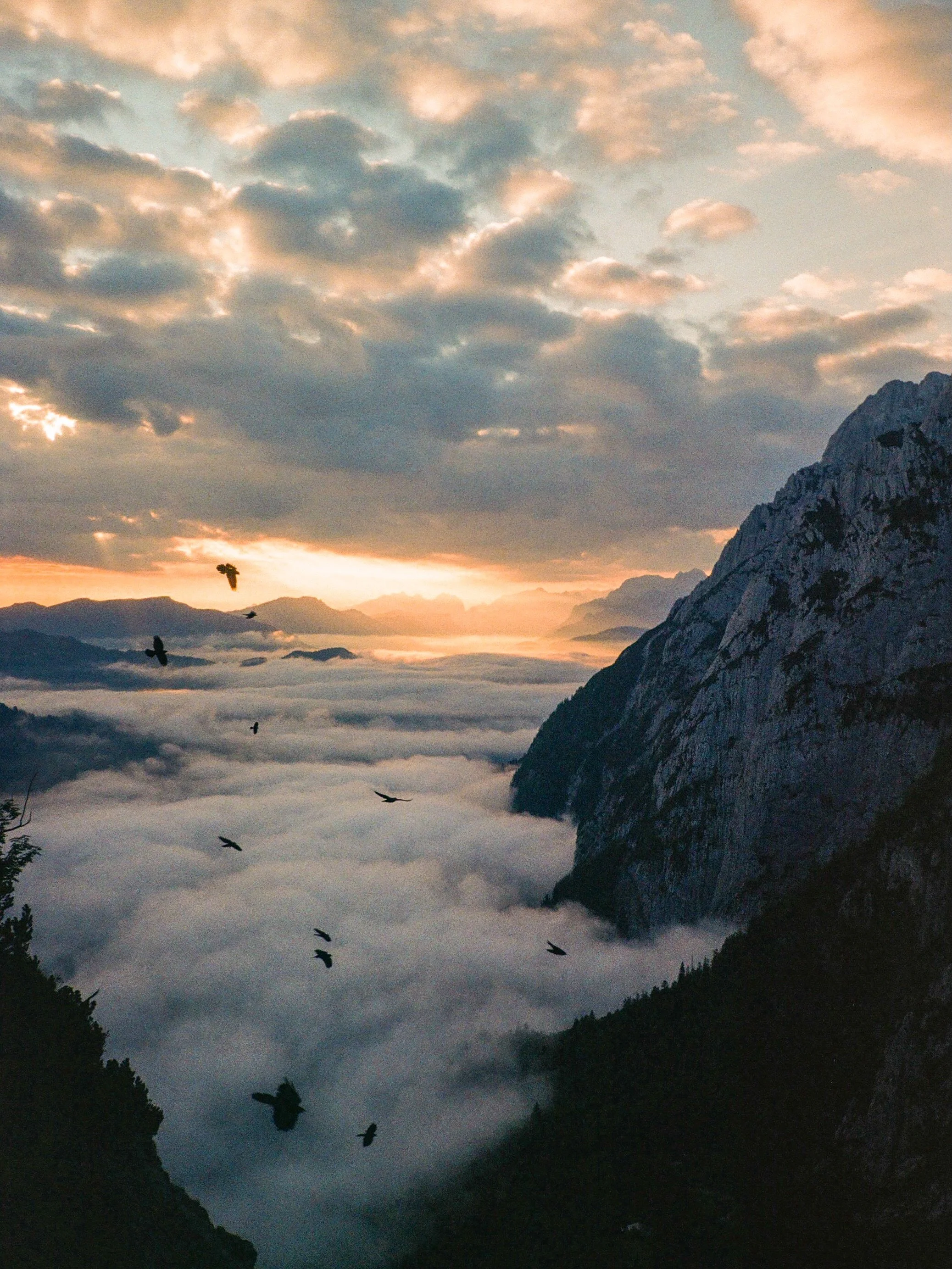 sunrise after a day of hiking in clouds (see last shot) 

ps we slept in a 62 people dorm in the hut, i woke up that morning &amp; just ran outside in my pyjama, was freezing but so worth it :))

scan &amp; dev: @film.speed.lab 

#analog #photography