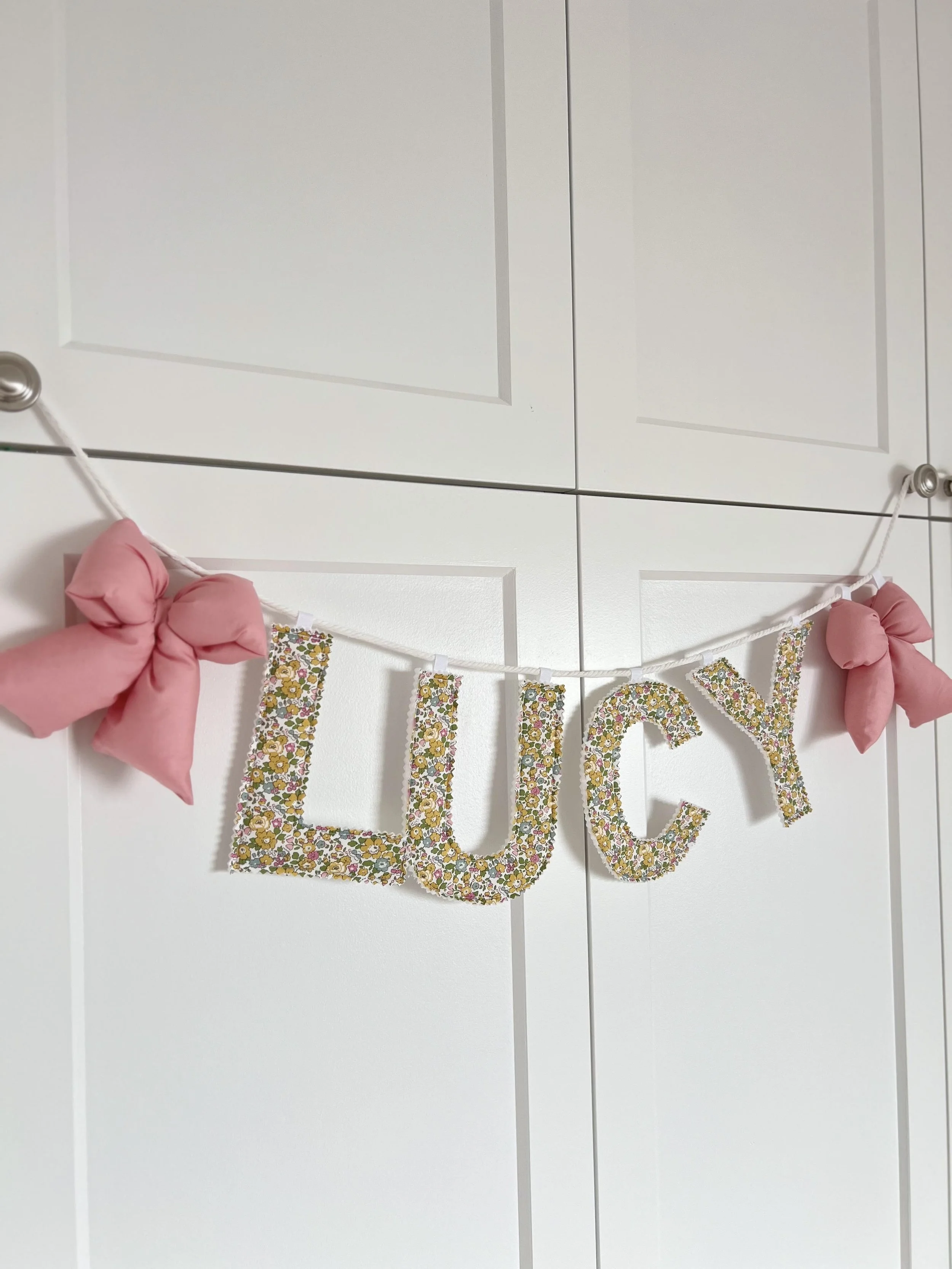 Lucy banner close up.jpg (Copy)