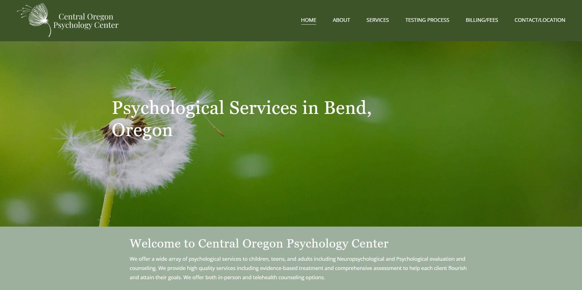 Screenshot 2024-10-15 215045.png