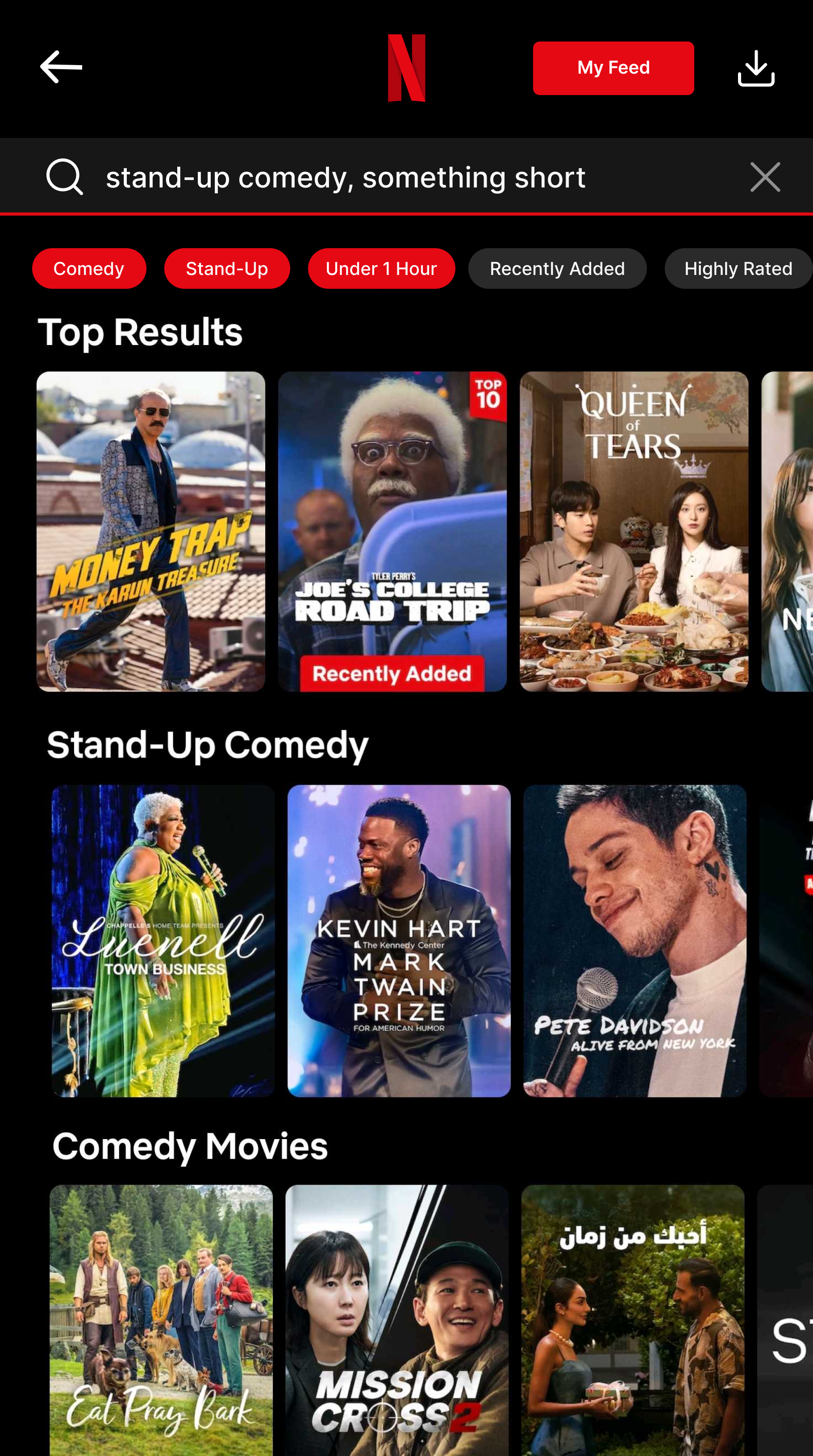 Netflix Final Mobile View.png