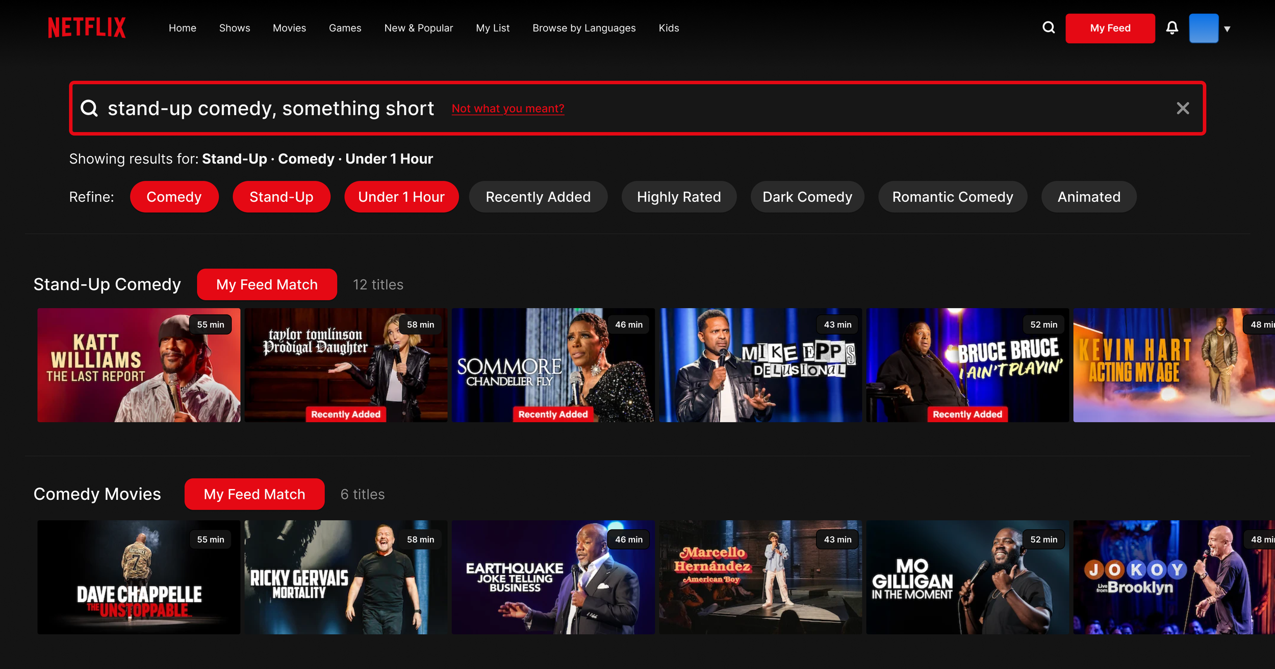 Netflix Final View2.png