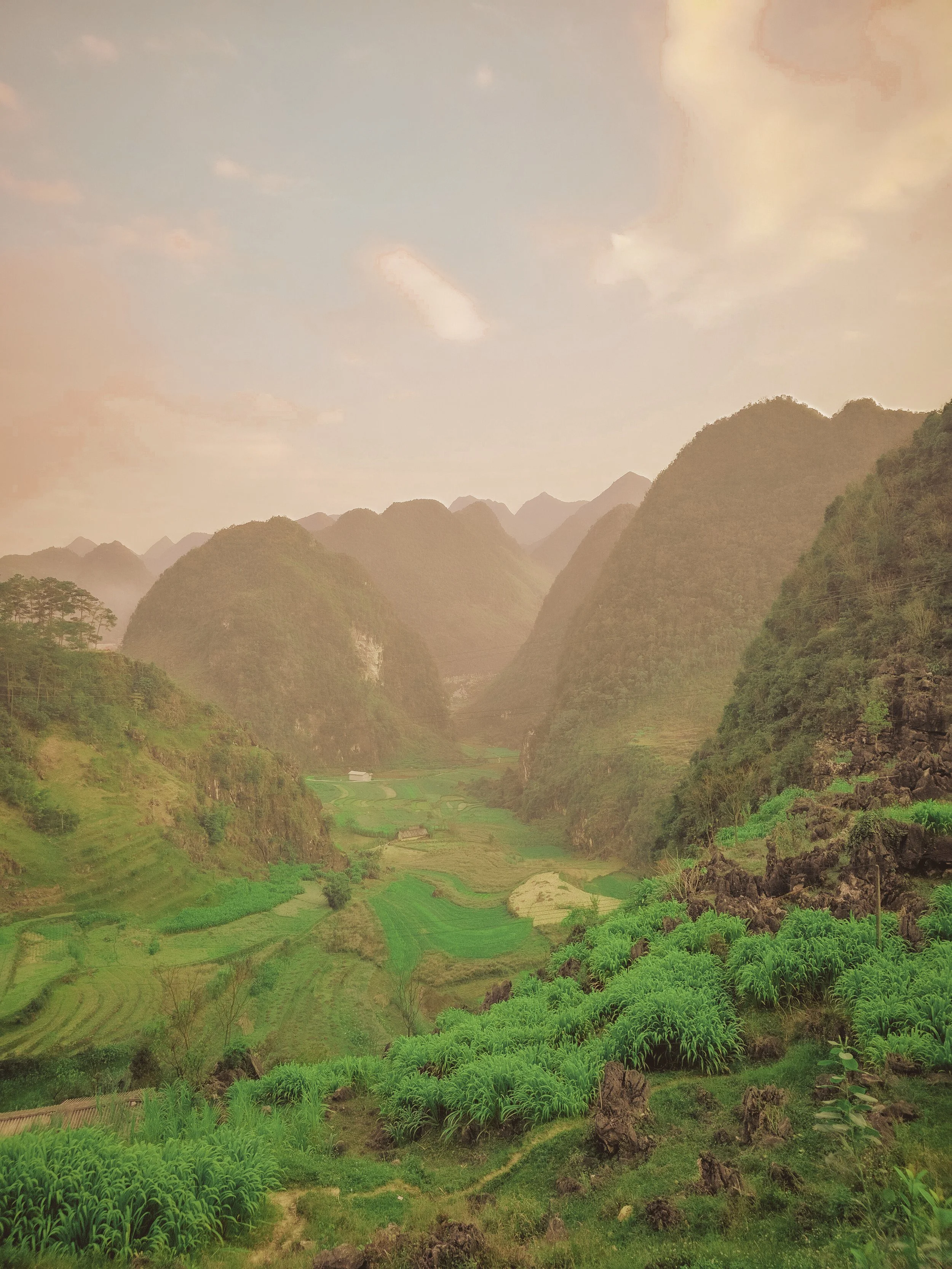 Vietnam _ hazel.jpg (Copy)