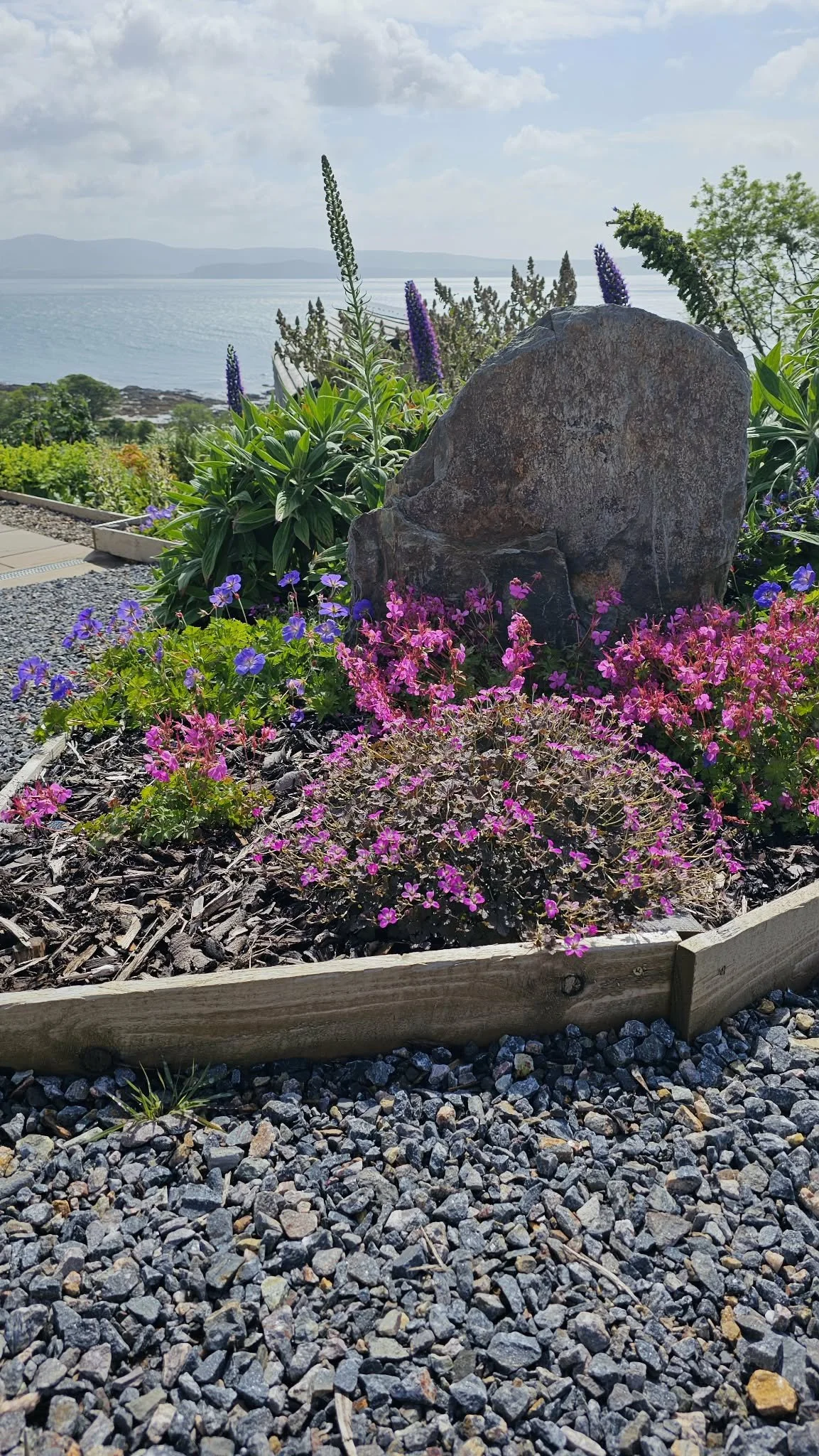 Colorful flower garden with purple and pink flowers, a large rock, and the ocean in the background under a partly cloudy sky.