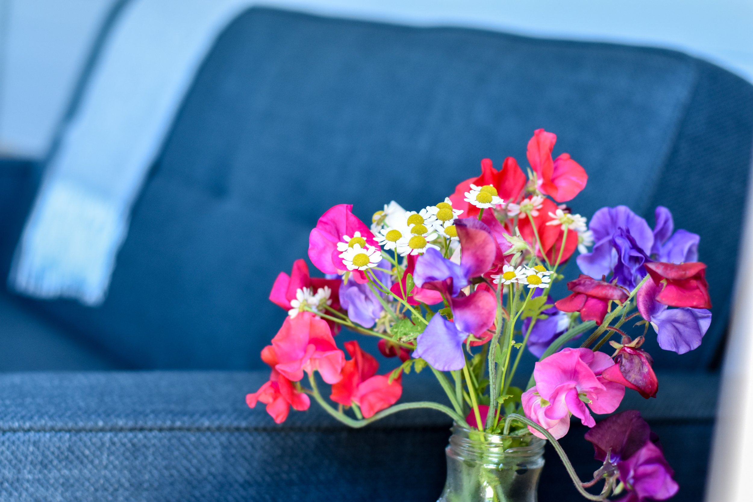 Colorful bouquet of pink, purple, and white flowers in a glass jar on a dark fabric surface.
