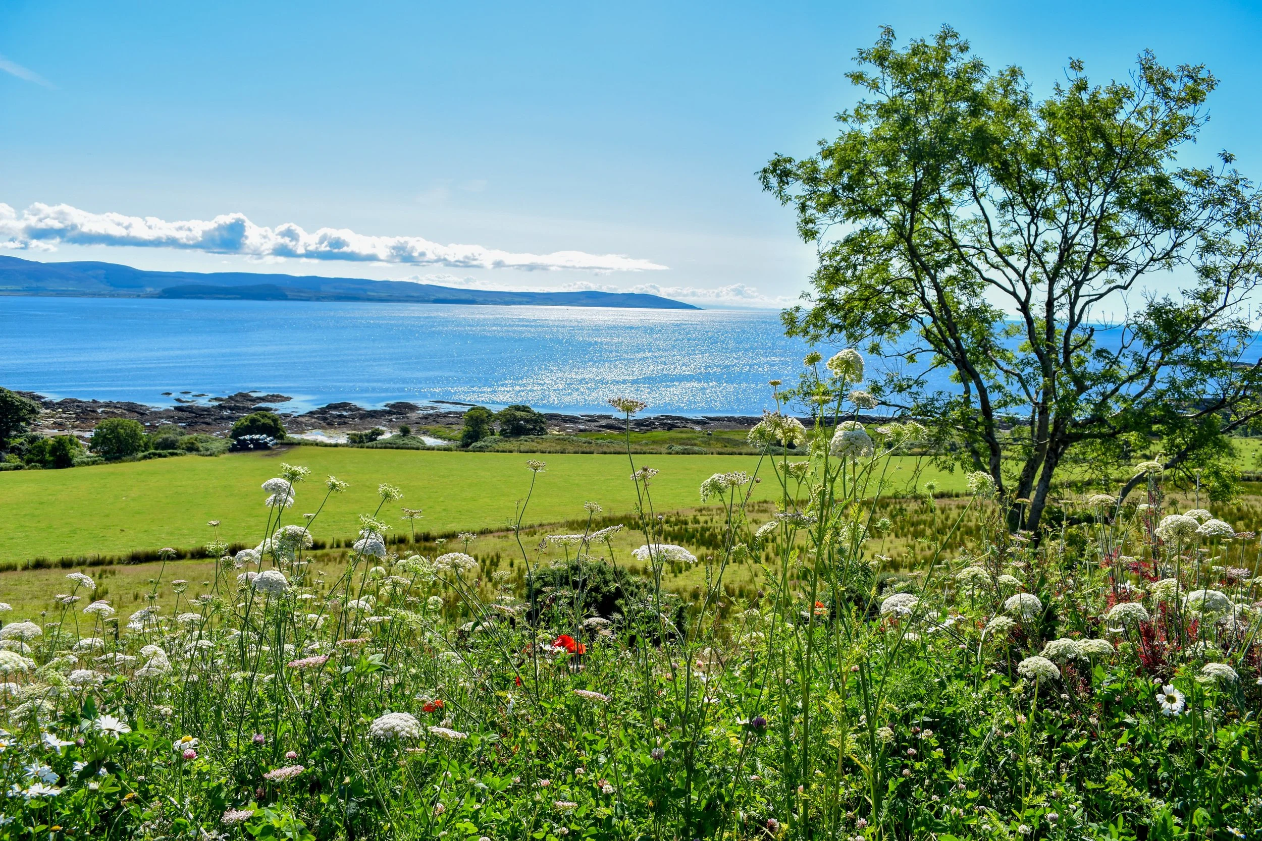 A scenic landscape featuring a green meadow with wildflowers, a large tree, and a body of water with hills in the background under a partly cloudy sky.