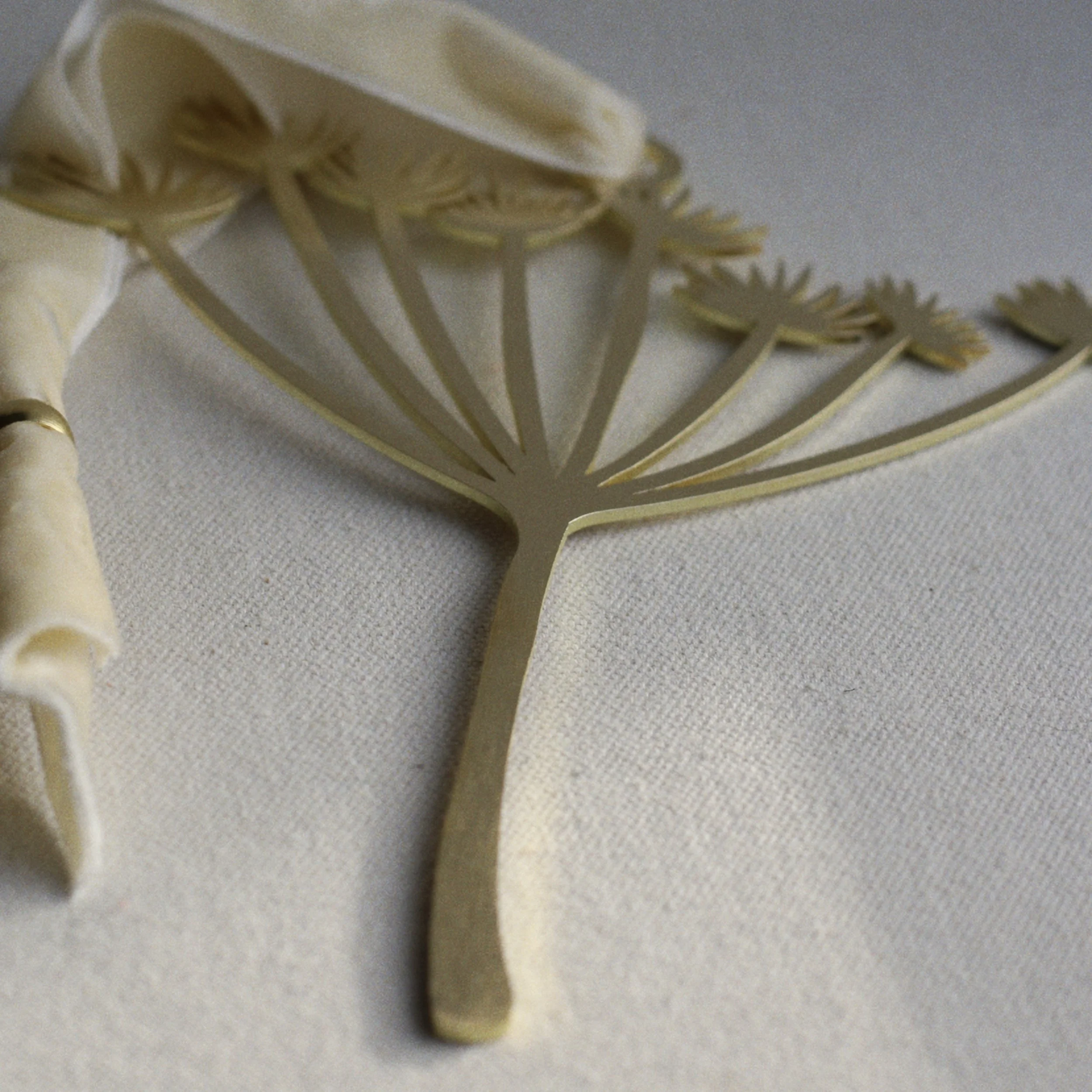 RNI-Films-IMG-4737DC26-80D1-491E-B353-1605B2022A55 copy.jpg