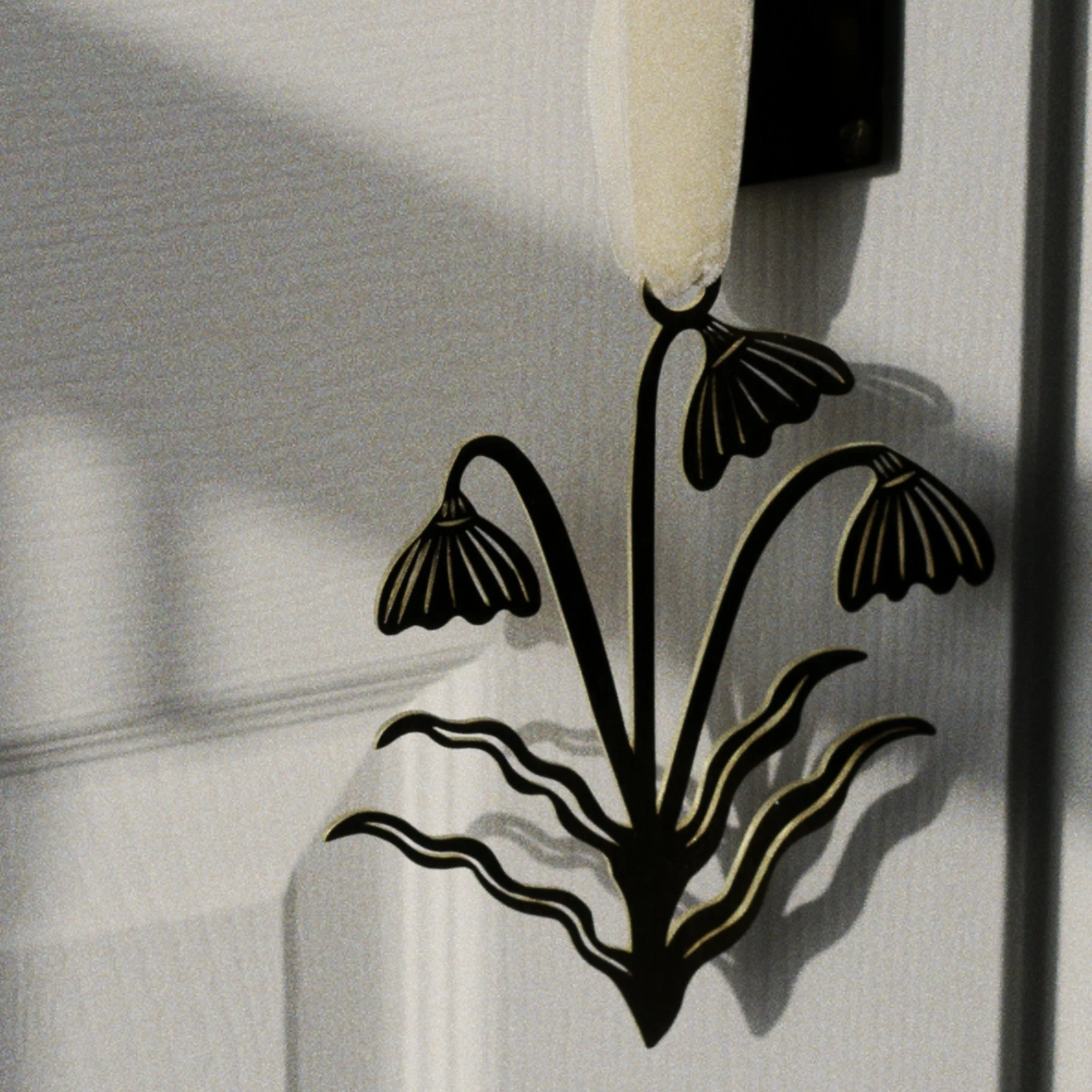 RNI-Films-IMG-A172AF1E-20A2-4917-8410-0C2AD856C66E 2.jpg