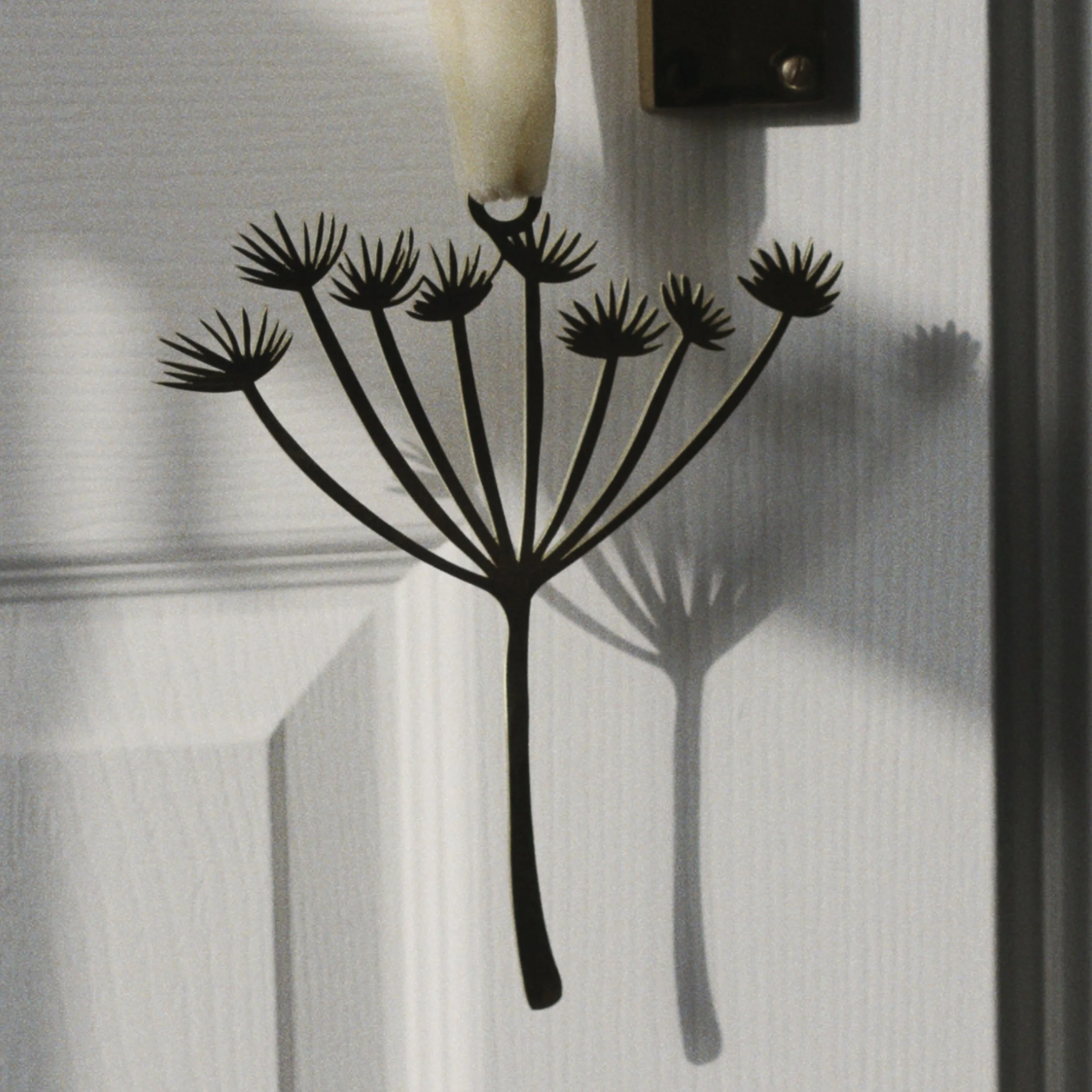 RNI-Films-IMG-5DC6D80C-BF42-4F8A-A70B-F027AA68CBF9 copy.jpg