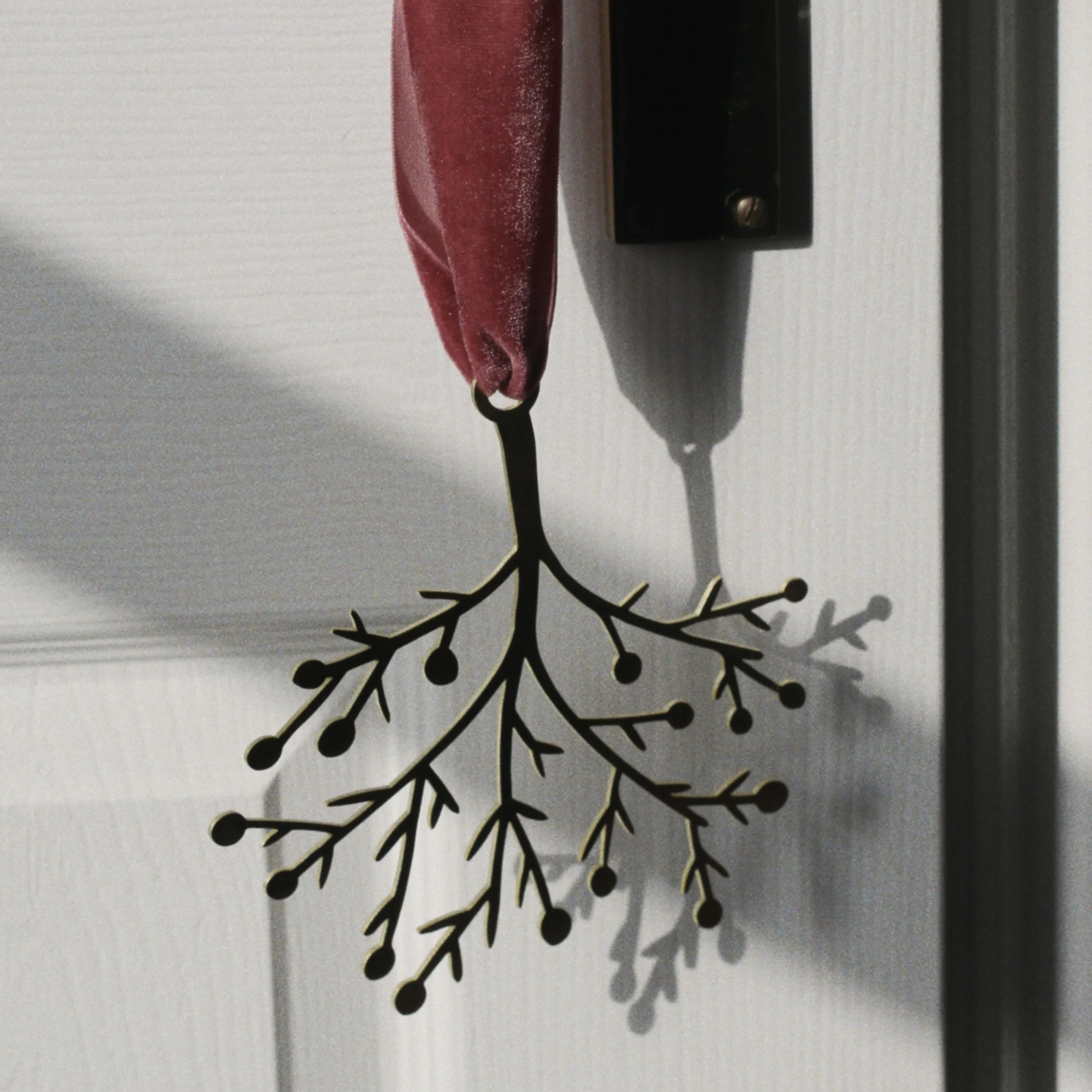 RNI-Films-IMG-67CFB920-897E-476B-A9B8-9C75BB0188A4 copy.jpg