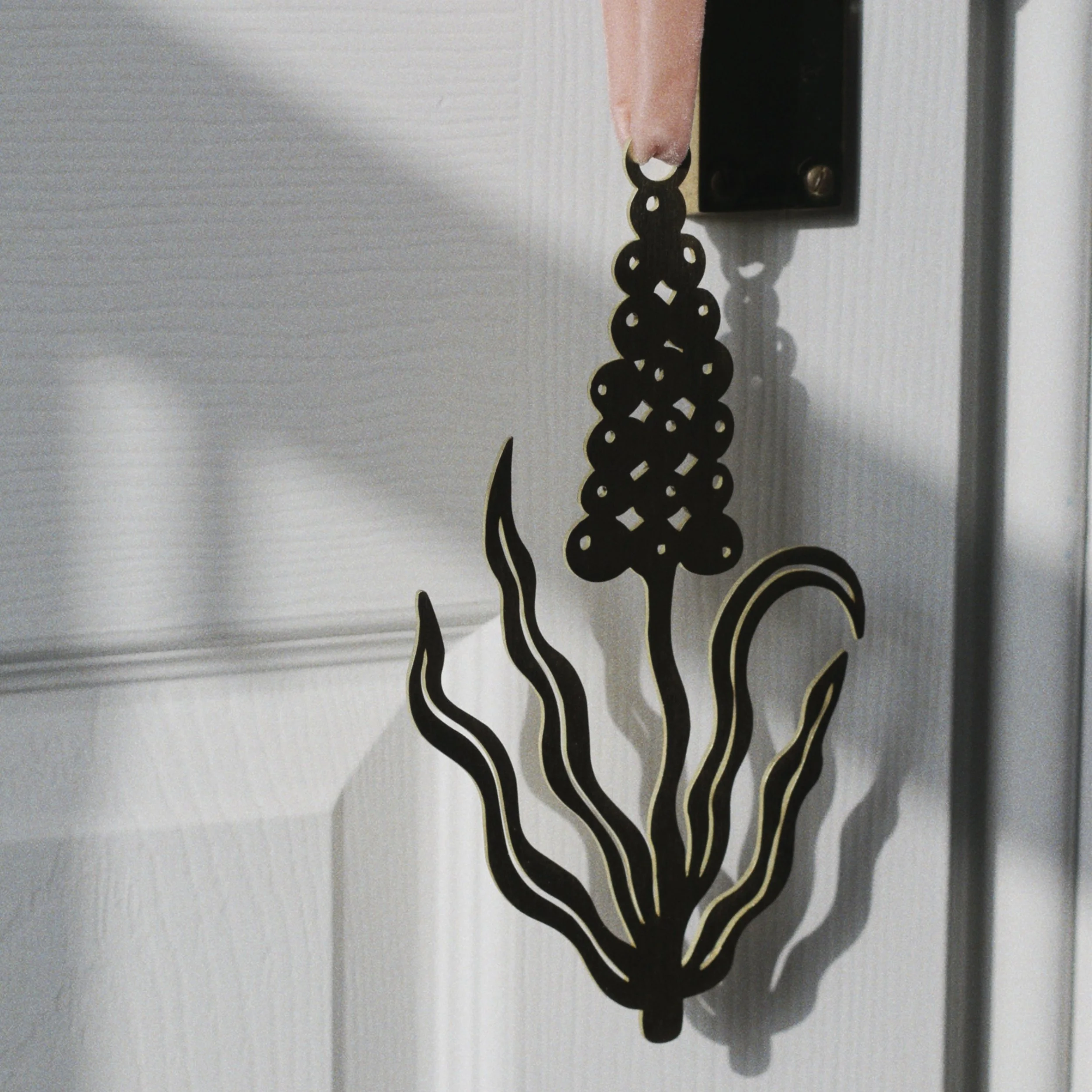 RNI-Films-IMG-86CDBDCD-B334-49B3-896C-4725AADD79B4 14.38.25.jpg