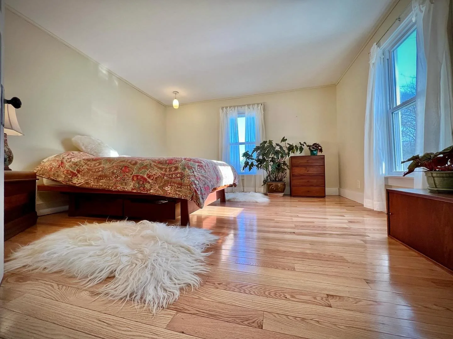 Bright bedroom with light yellow walls, hardwood floors, a bed with a patterned bedspread, a fluffy white rug, and windows with white curtains, decorated with potted plants.