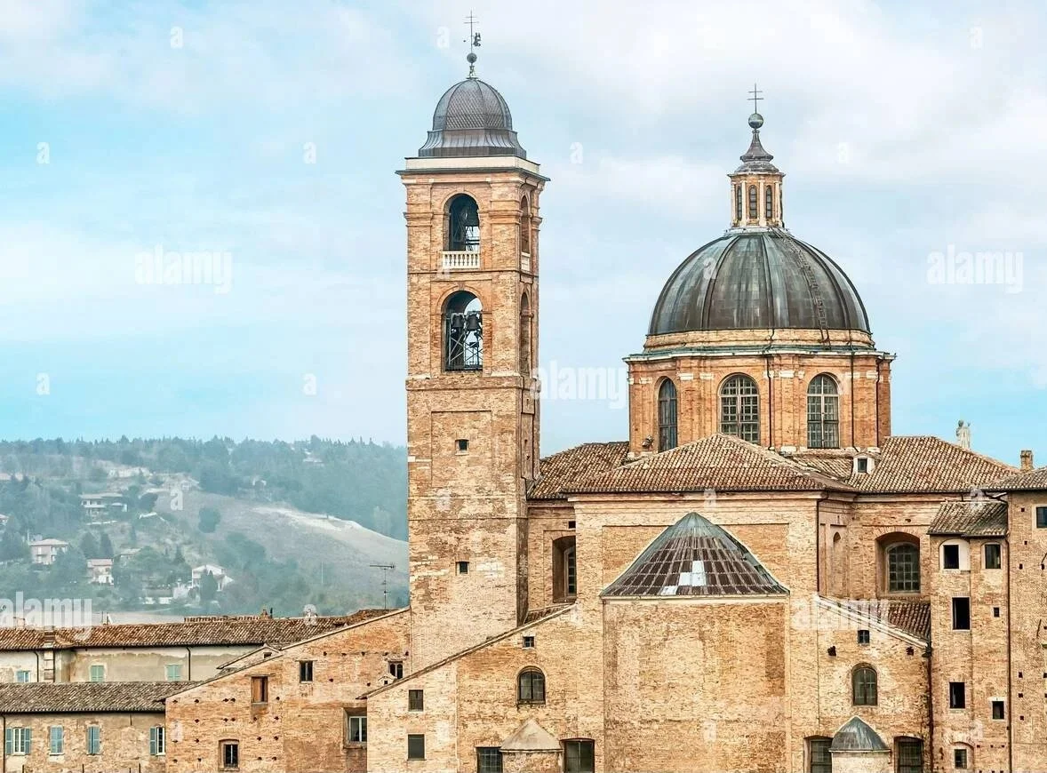 Urbino