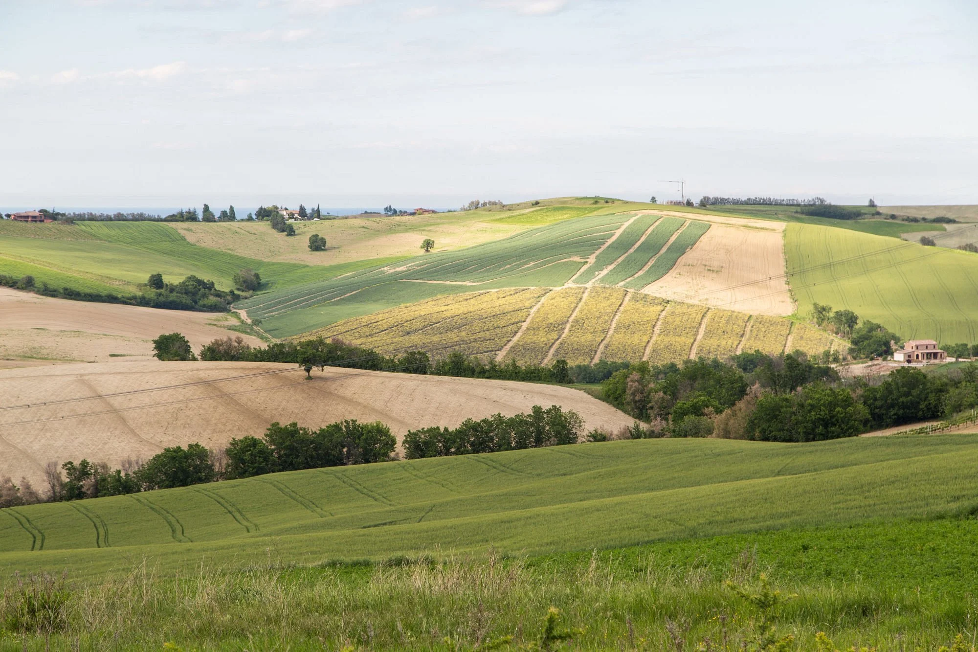 relais-palazzo-viviani (3).jpg