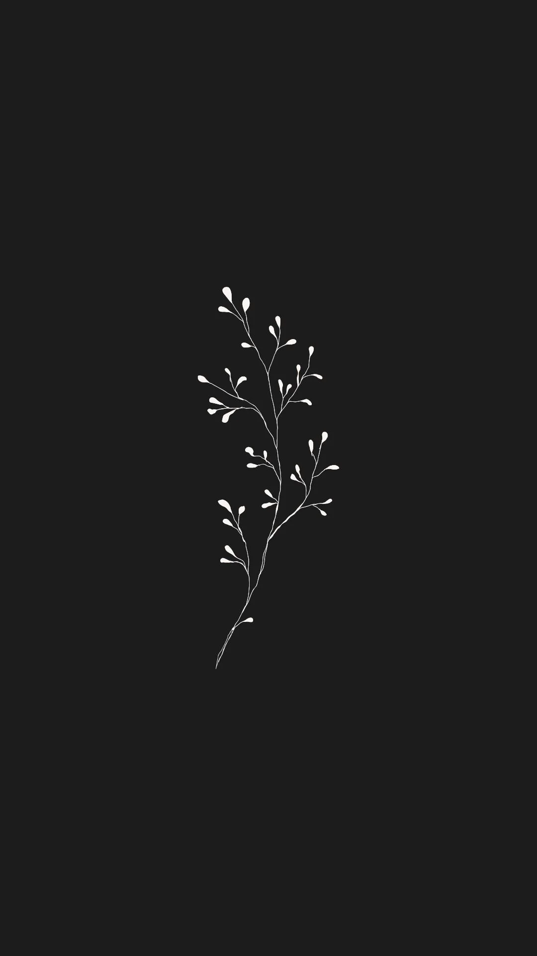 leaf fine line graphic - southern downs western aesthetic celebrant