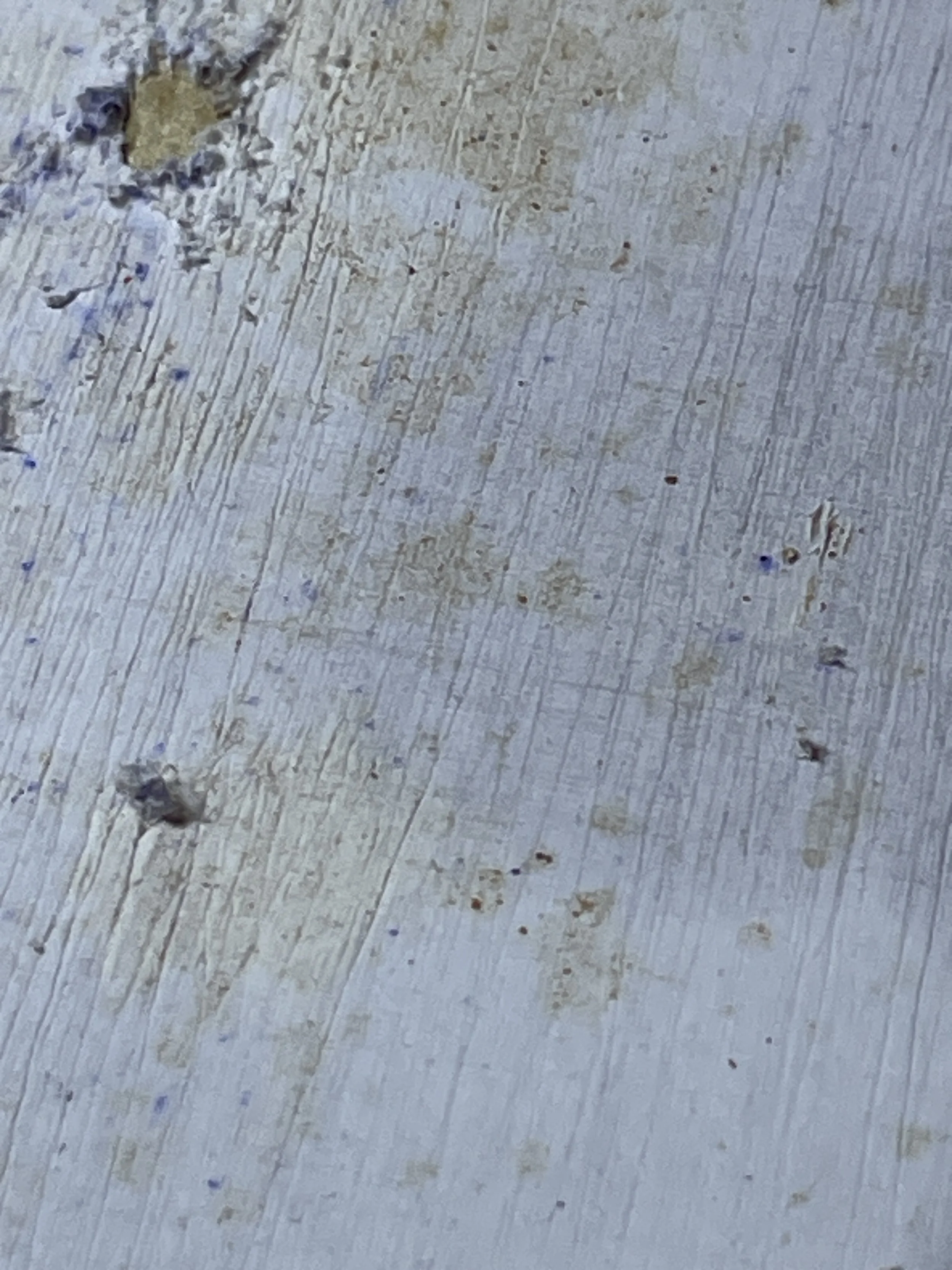 Close-up of a prepared surface during the development of a material-based artwork.
