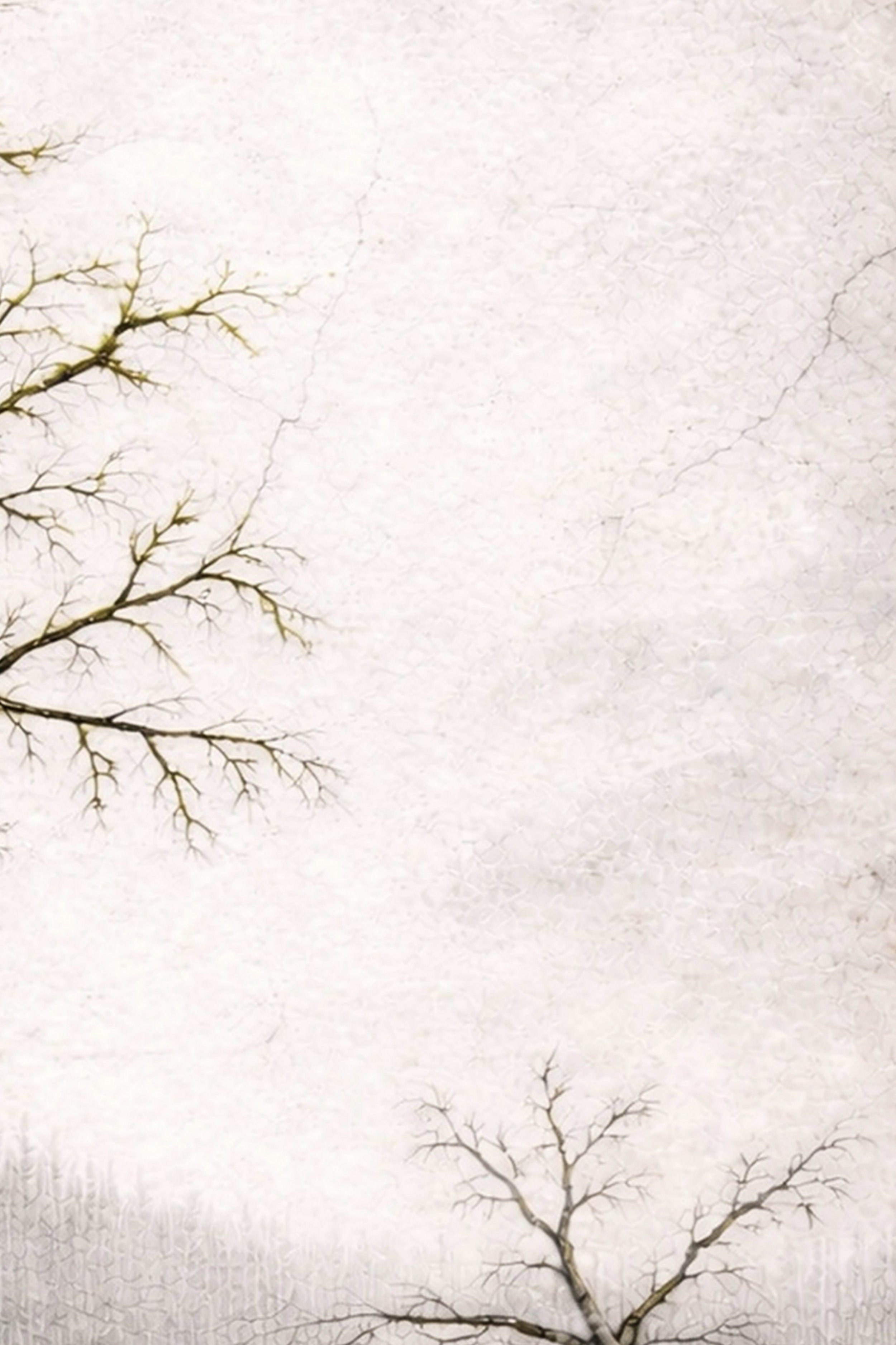 Standing. 2026. Archival pigment print from Surfaces of Becoming.