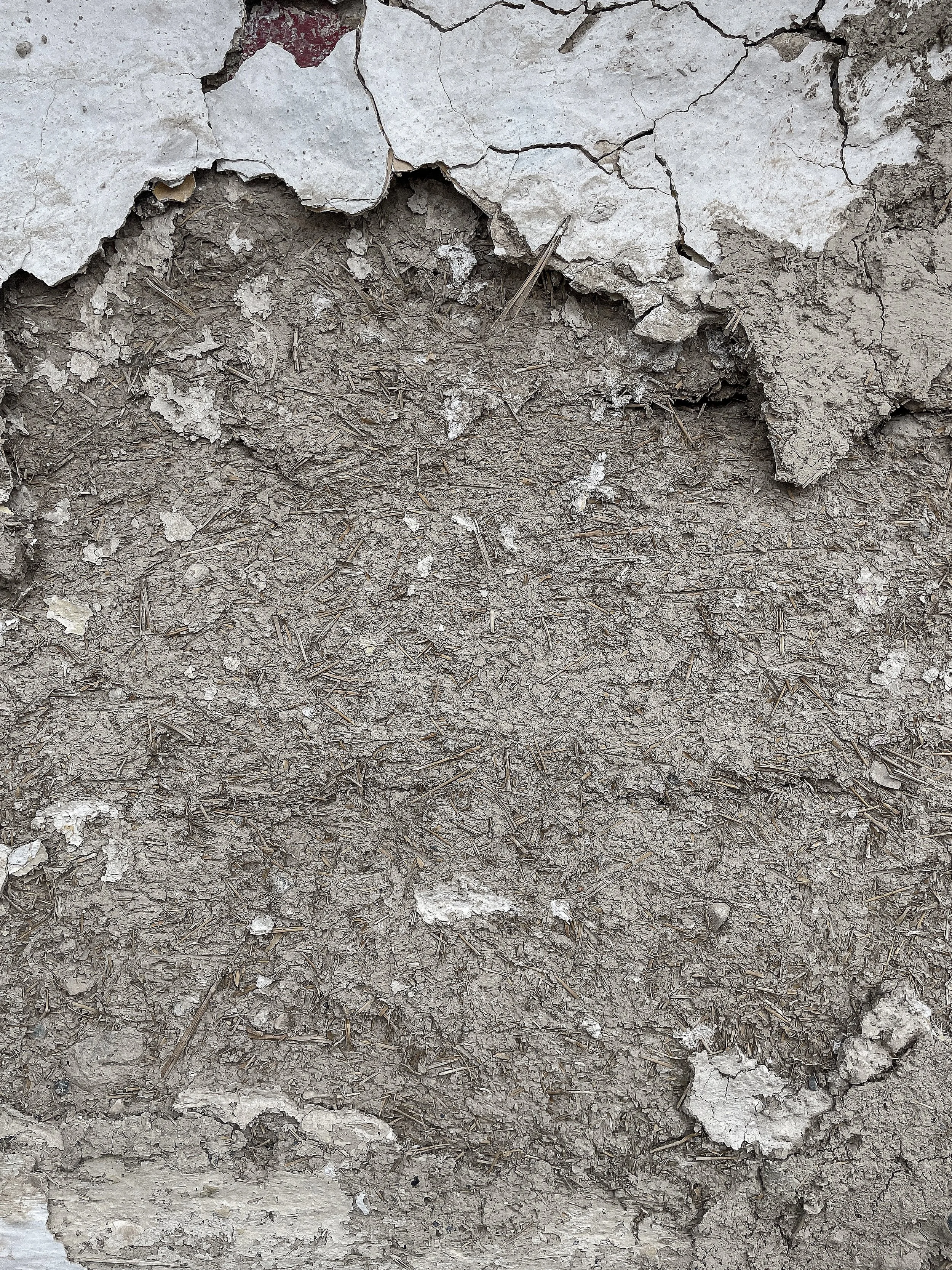 Organic surface texture study photographed by Serdar Akdeniz.