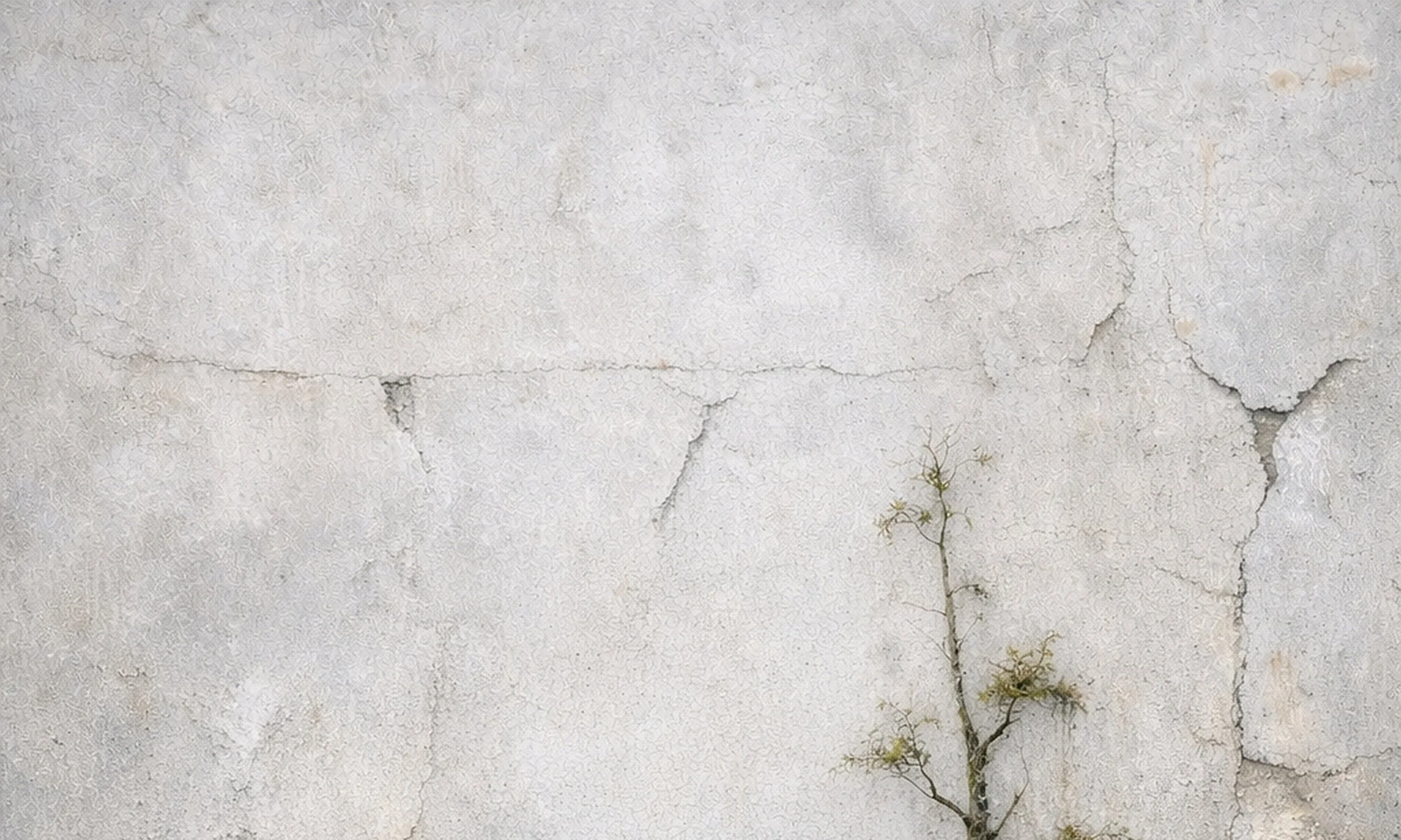 Wall surface detail, Surfaces of Becoming series