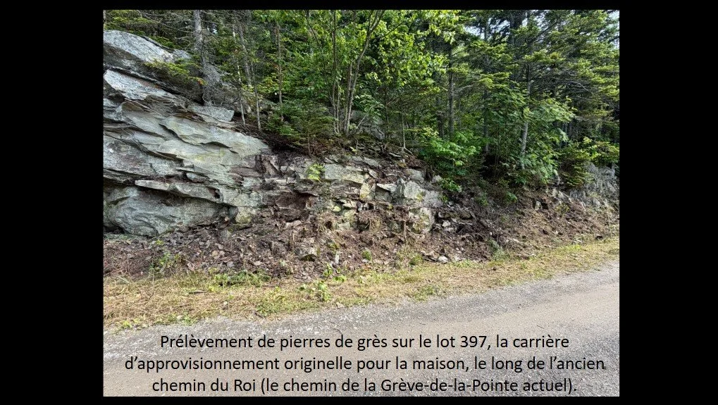 p20.jpg