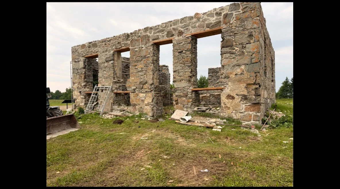 p53.jpg