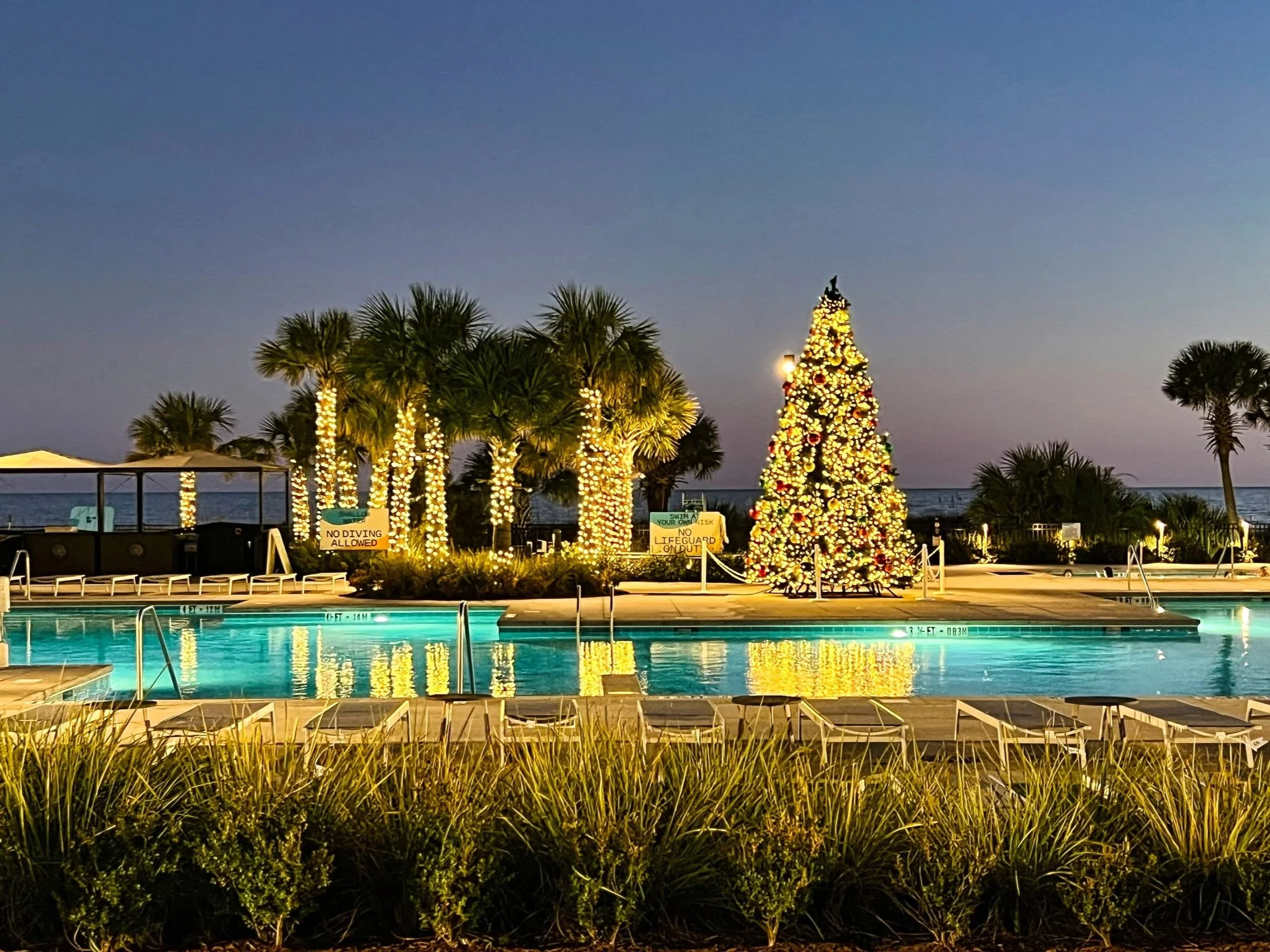 Beautiful pool with palm trees and white lights at dusk.