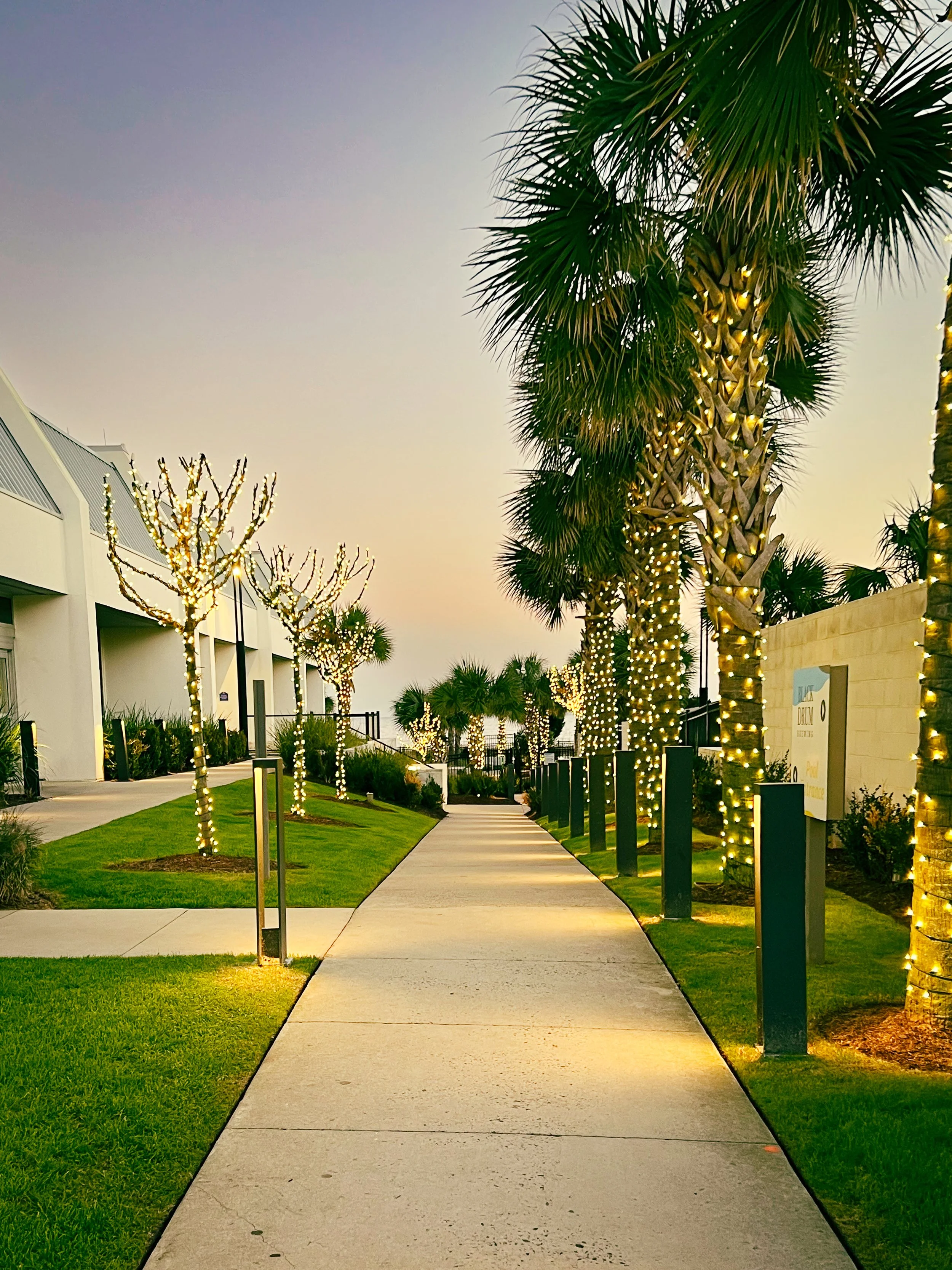 Magical walkway with palm trees and warm lighting in the evening.