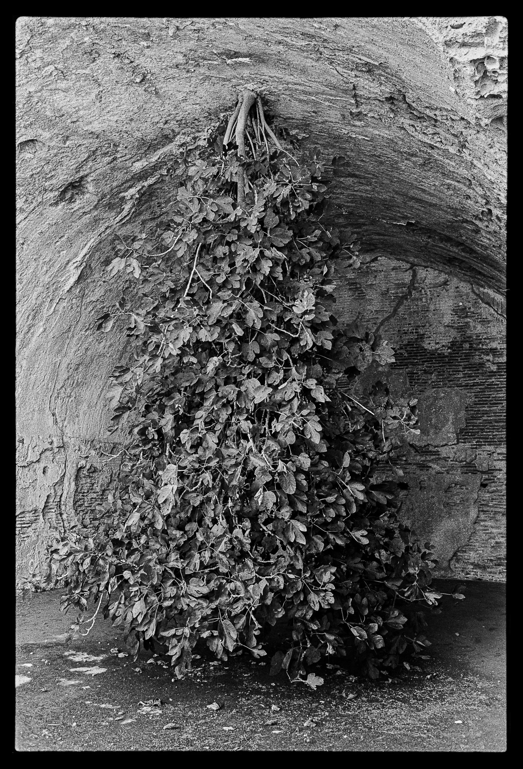 Campi flegrei final selection-02.jpg