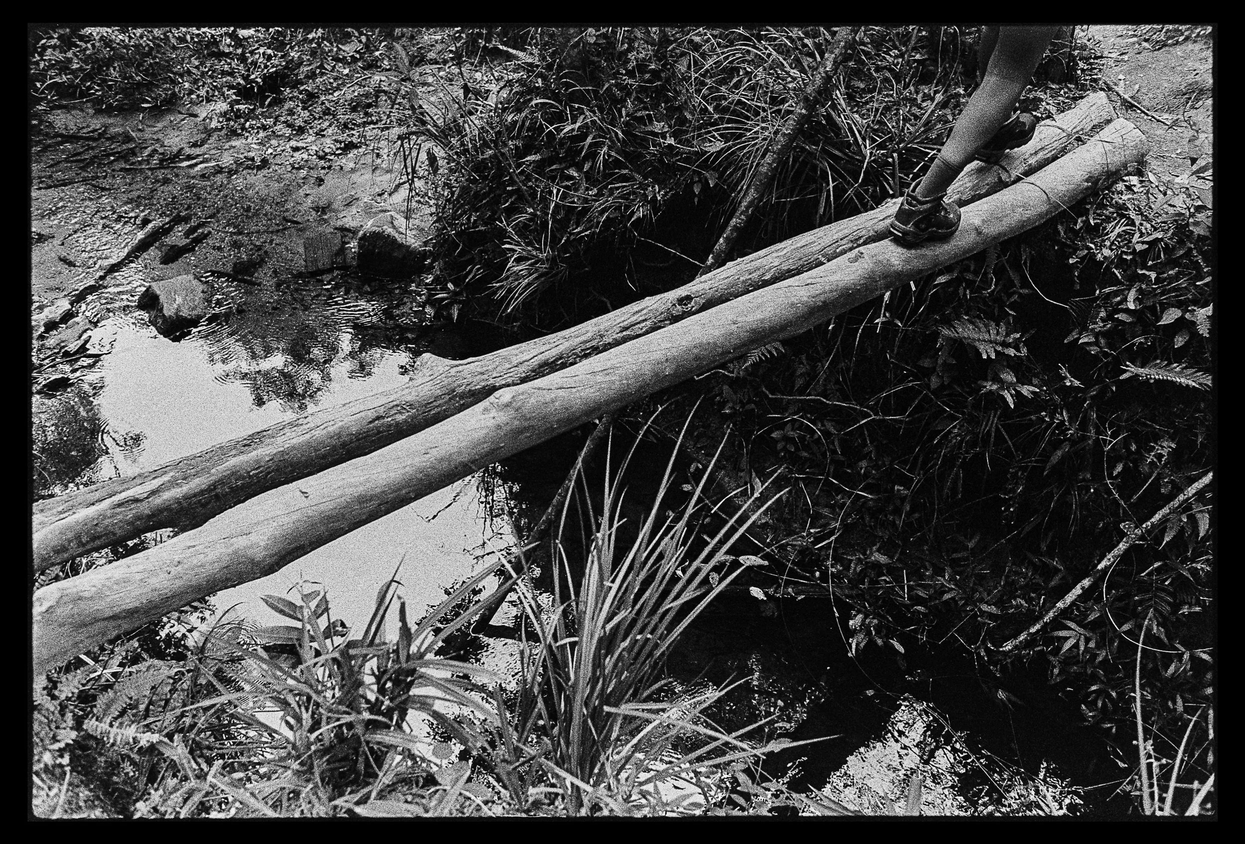 Nuova cartella-01.jpg