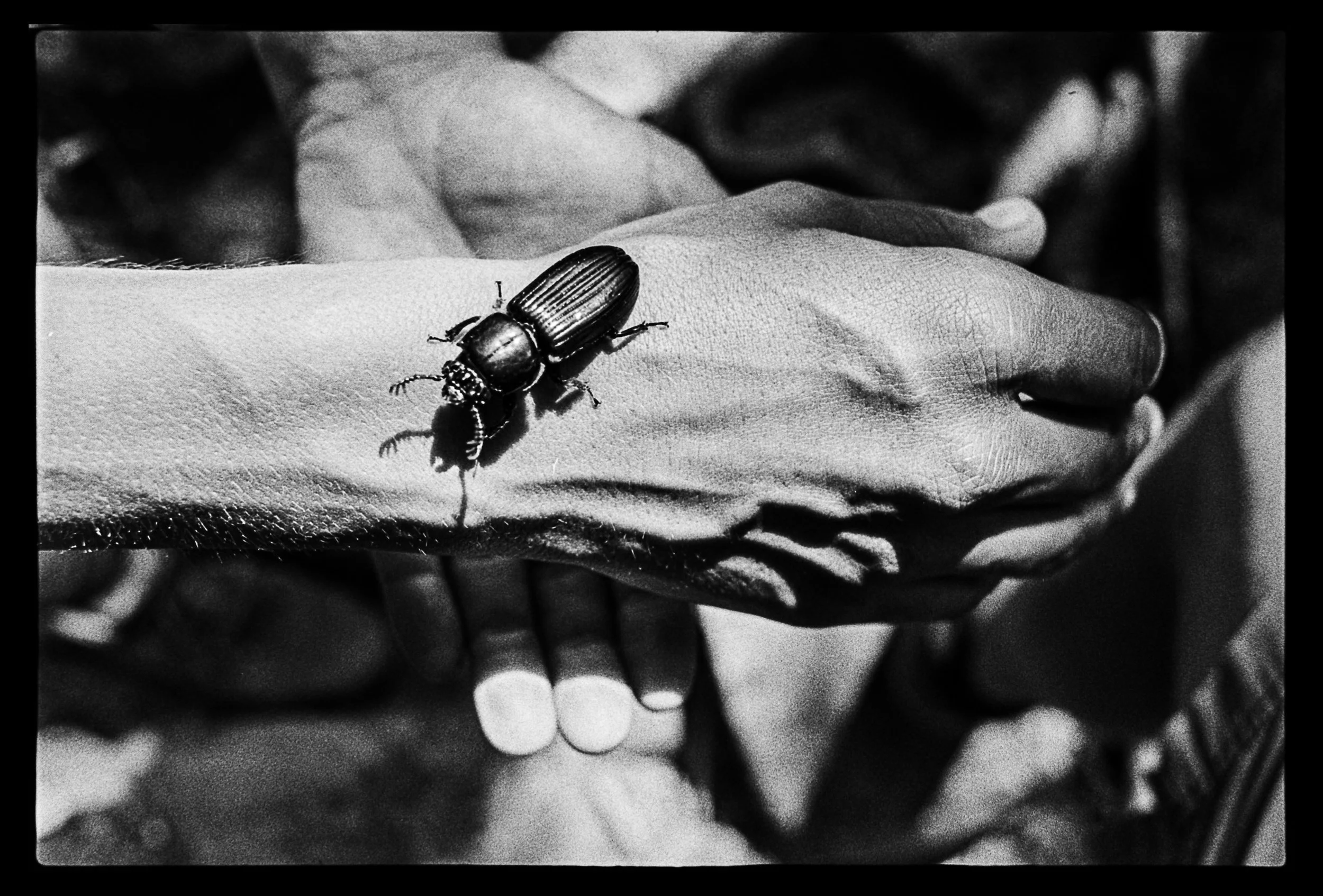 Nuova cartella-05.jpg