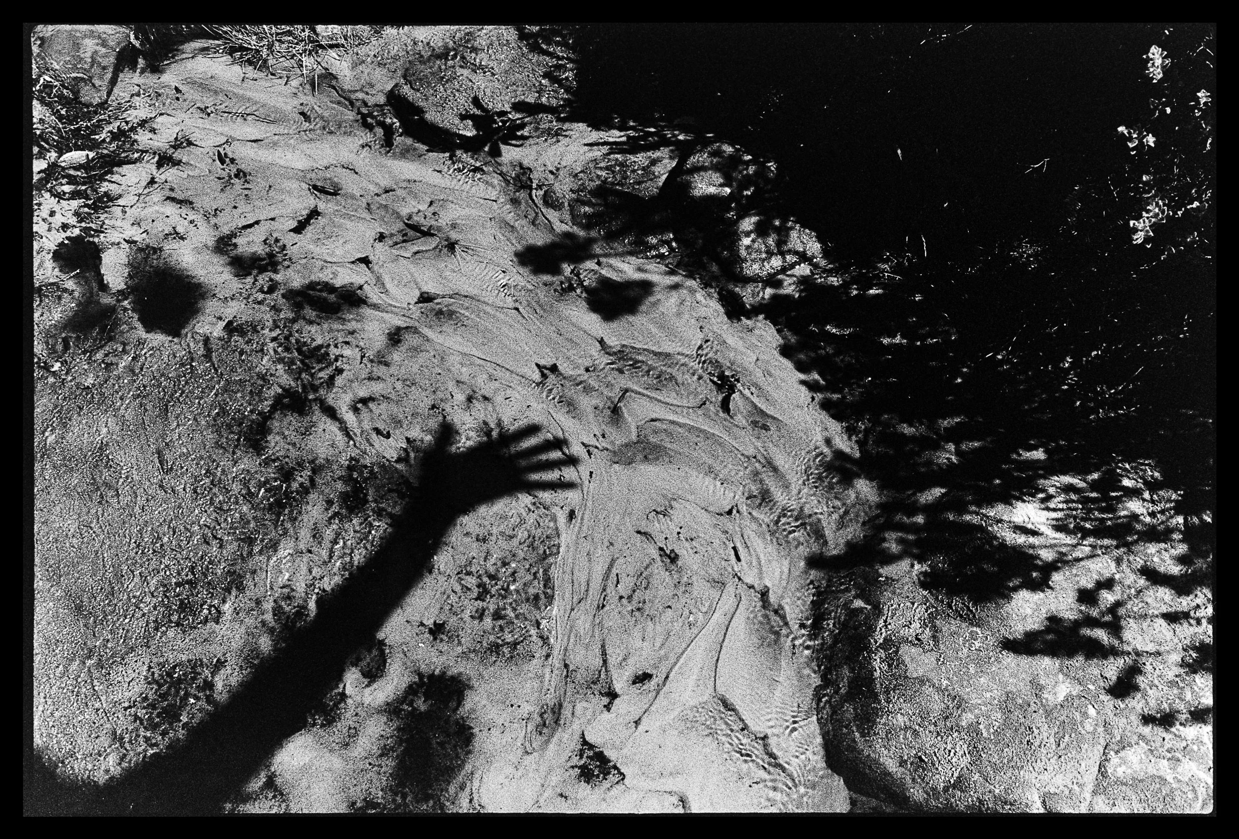 Nuova cartella-06.jpg