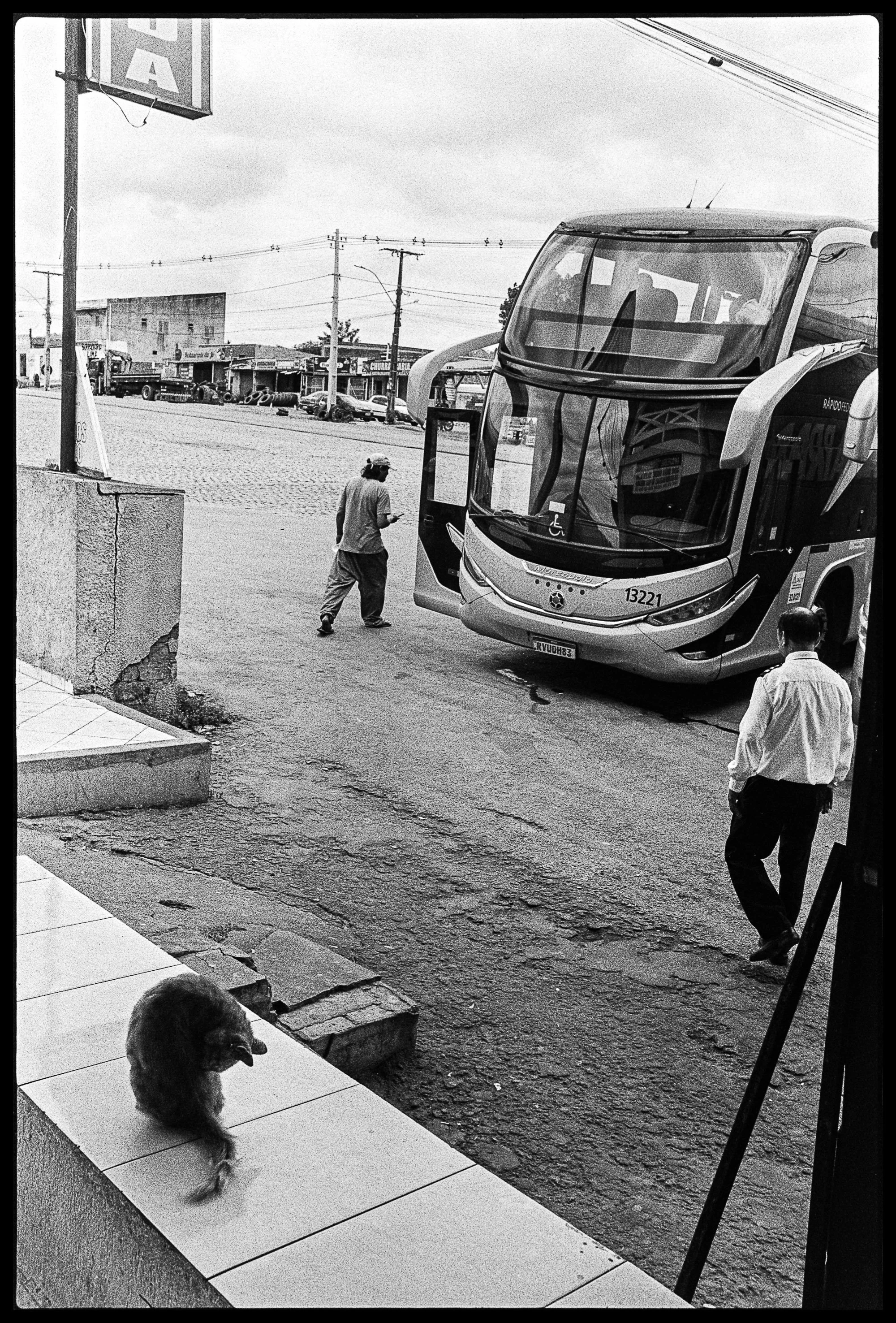 La Strada-17.jpg