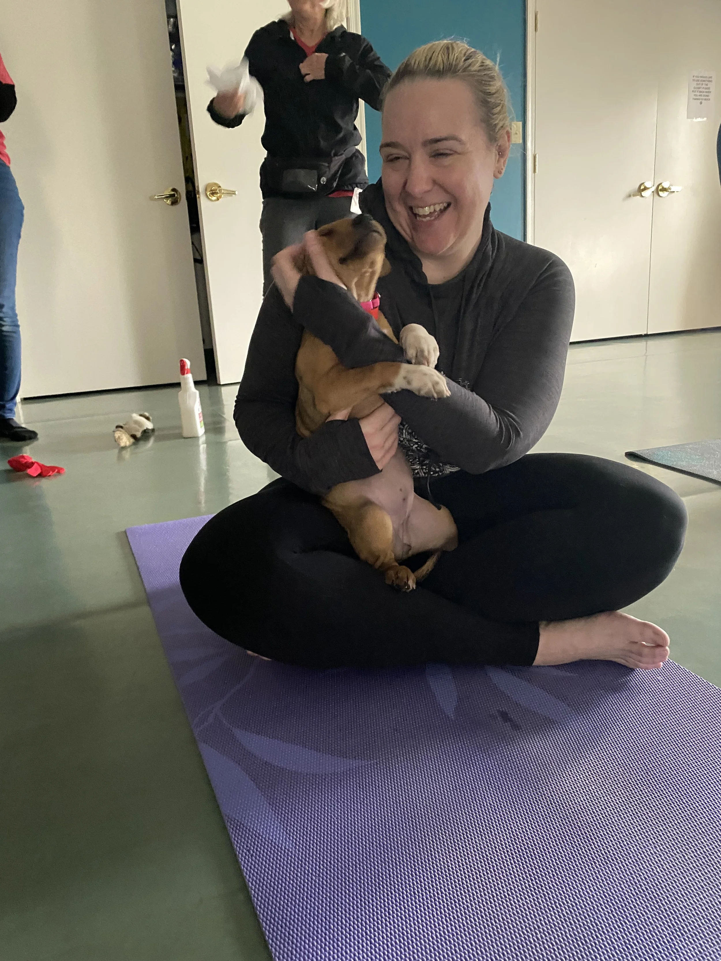 Elverson Fitness Club (Elverson, PA) partners with the PSPCA and Main Line Animal Rescue to host yoga classes with adorable adoptable pets.