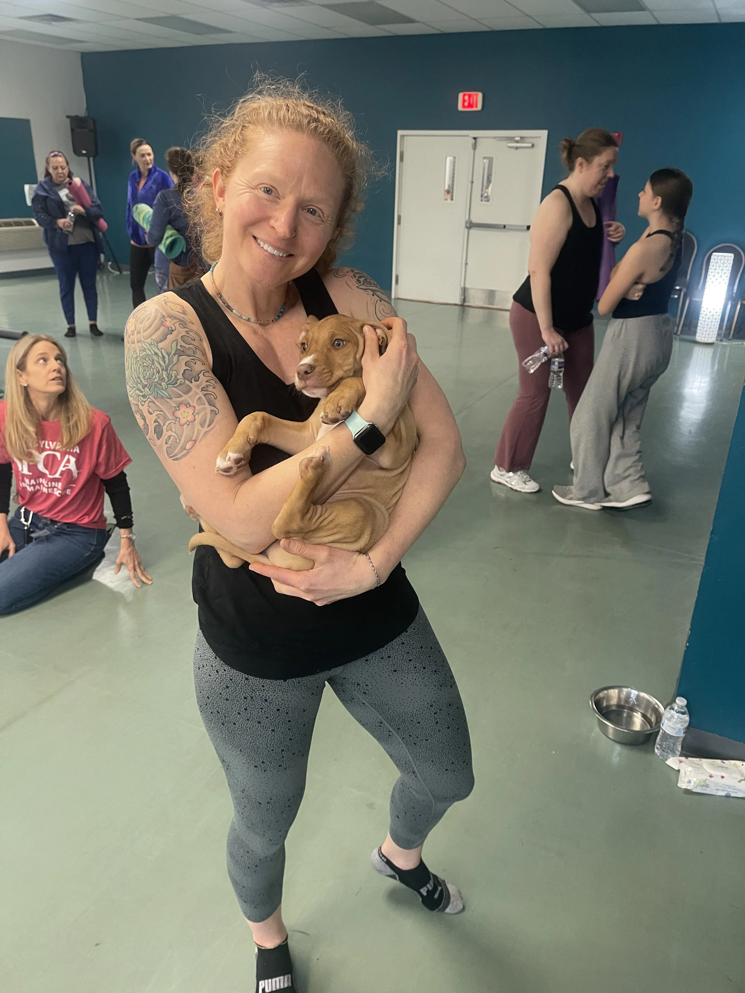 Elverson Fitness Club (Elverson, PA) partners with the PSPCA and Main Line Animal Rescue to host yoga classes with adorable adoptable pets.