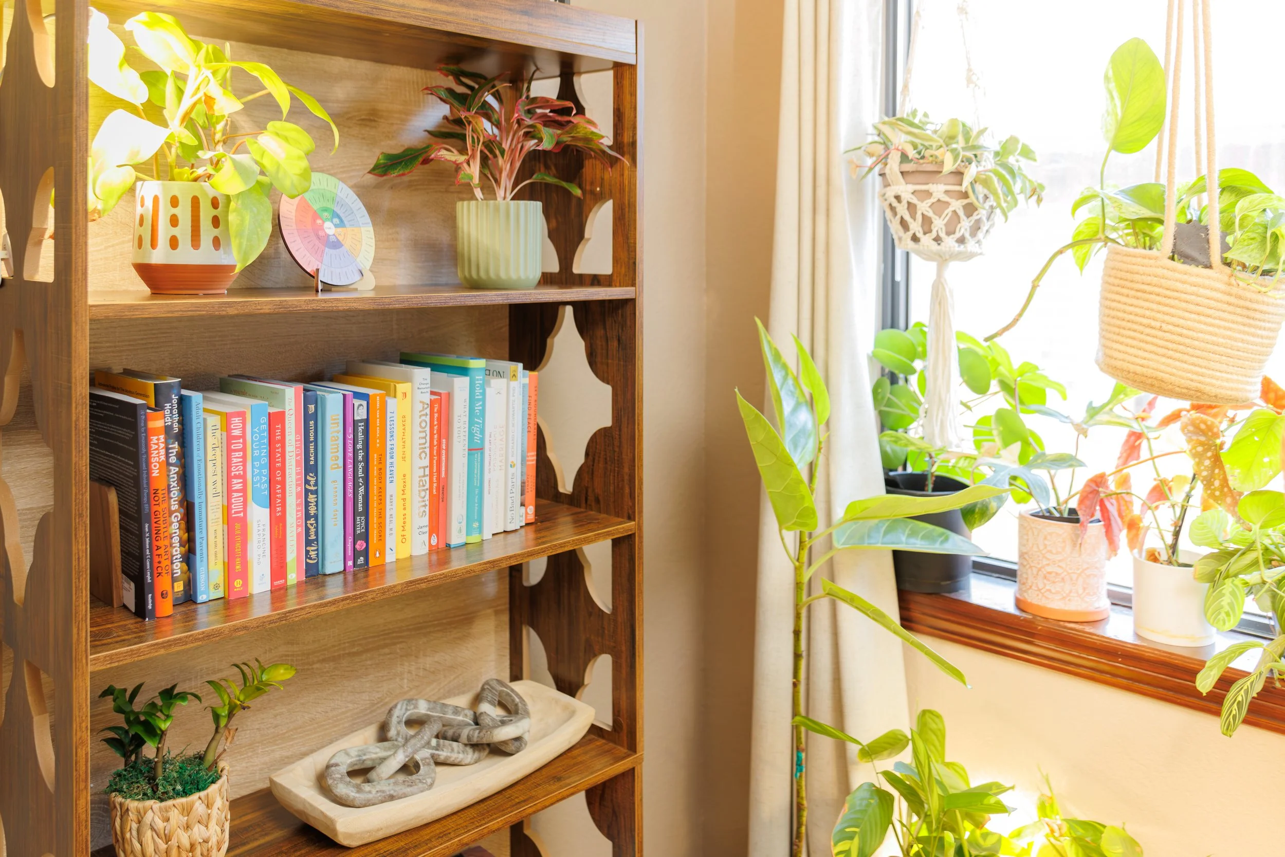 A wooden bookshelf filled with colorful books and potted plants on top, near a window with sunlight and hanging planters.