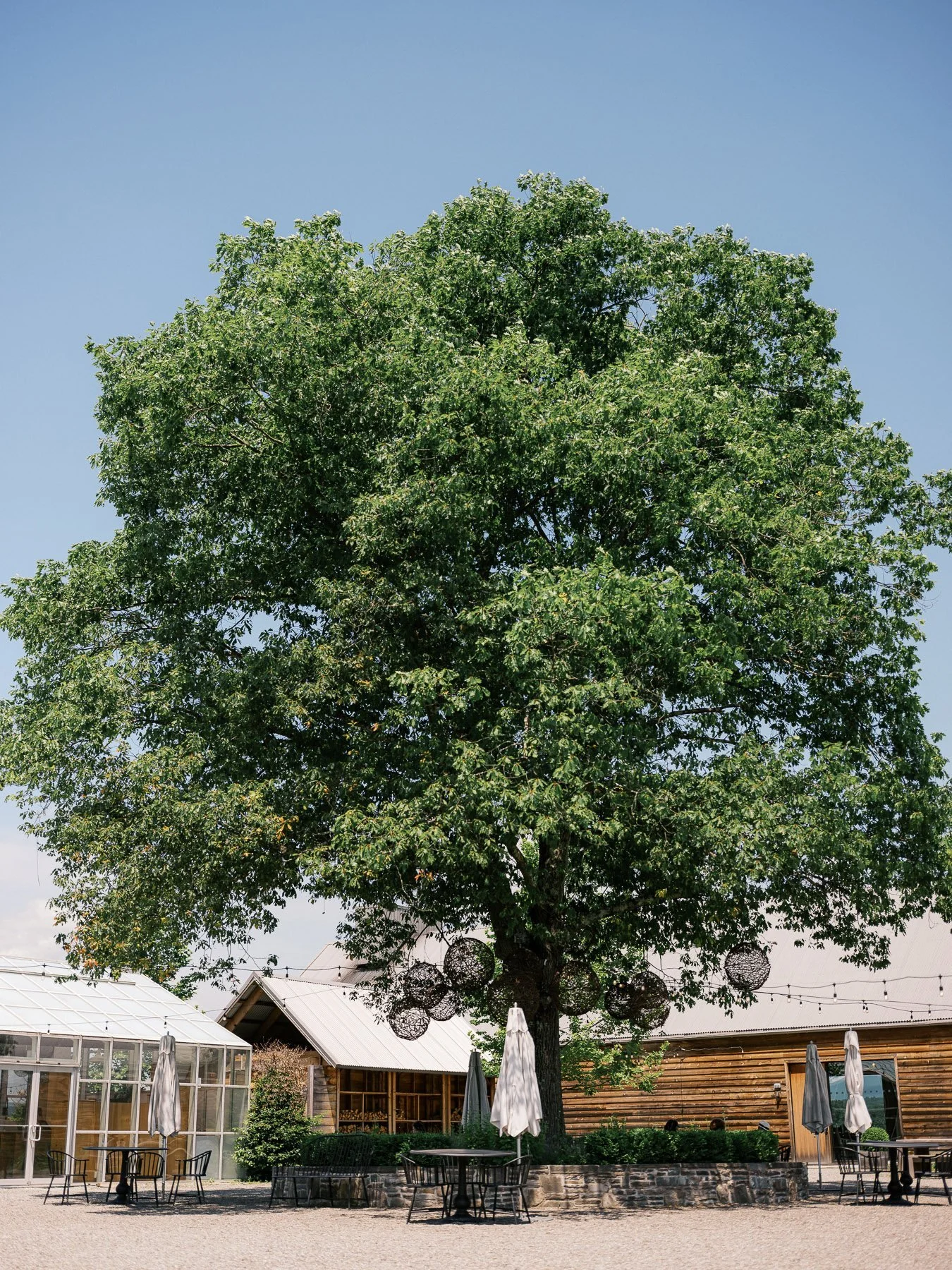 Inness Wedding in Accord, NY with DM Events by Michelle Lange Photography-4.jpg