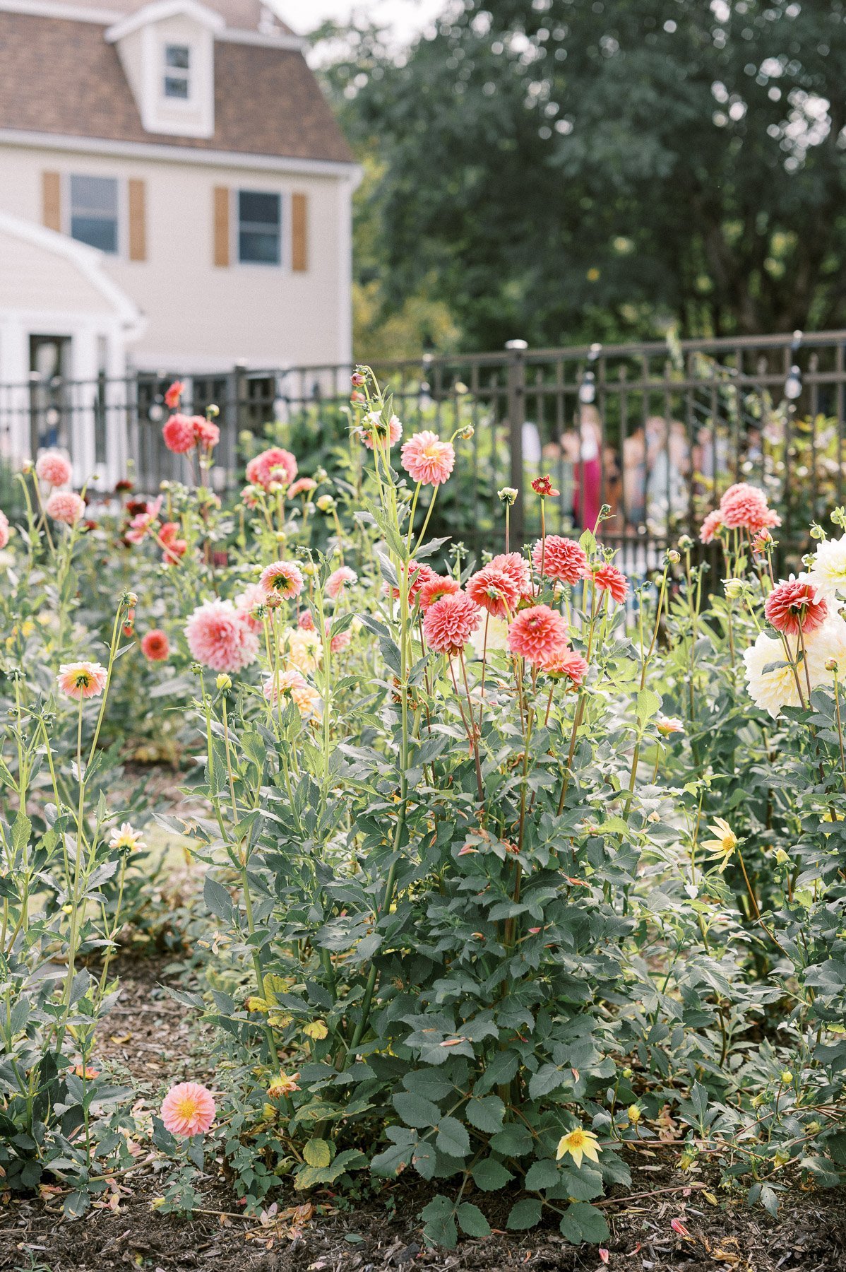 Saratoga NY backyard wedding by Michelle Lange Photography-54.jpg