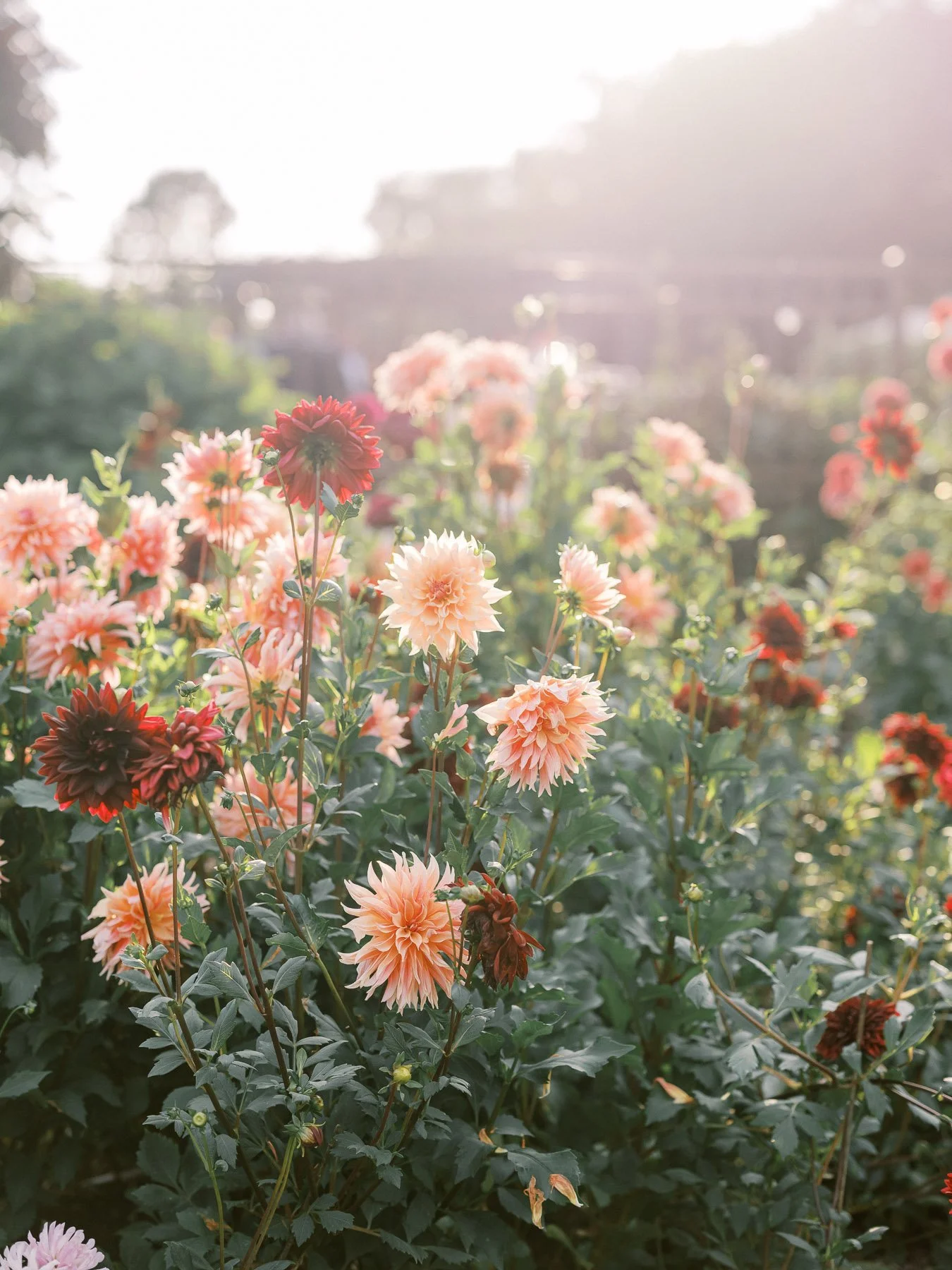 Saratoga NY backyard wedding by Michelle Lange Photography-109.jpg