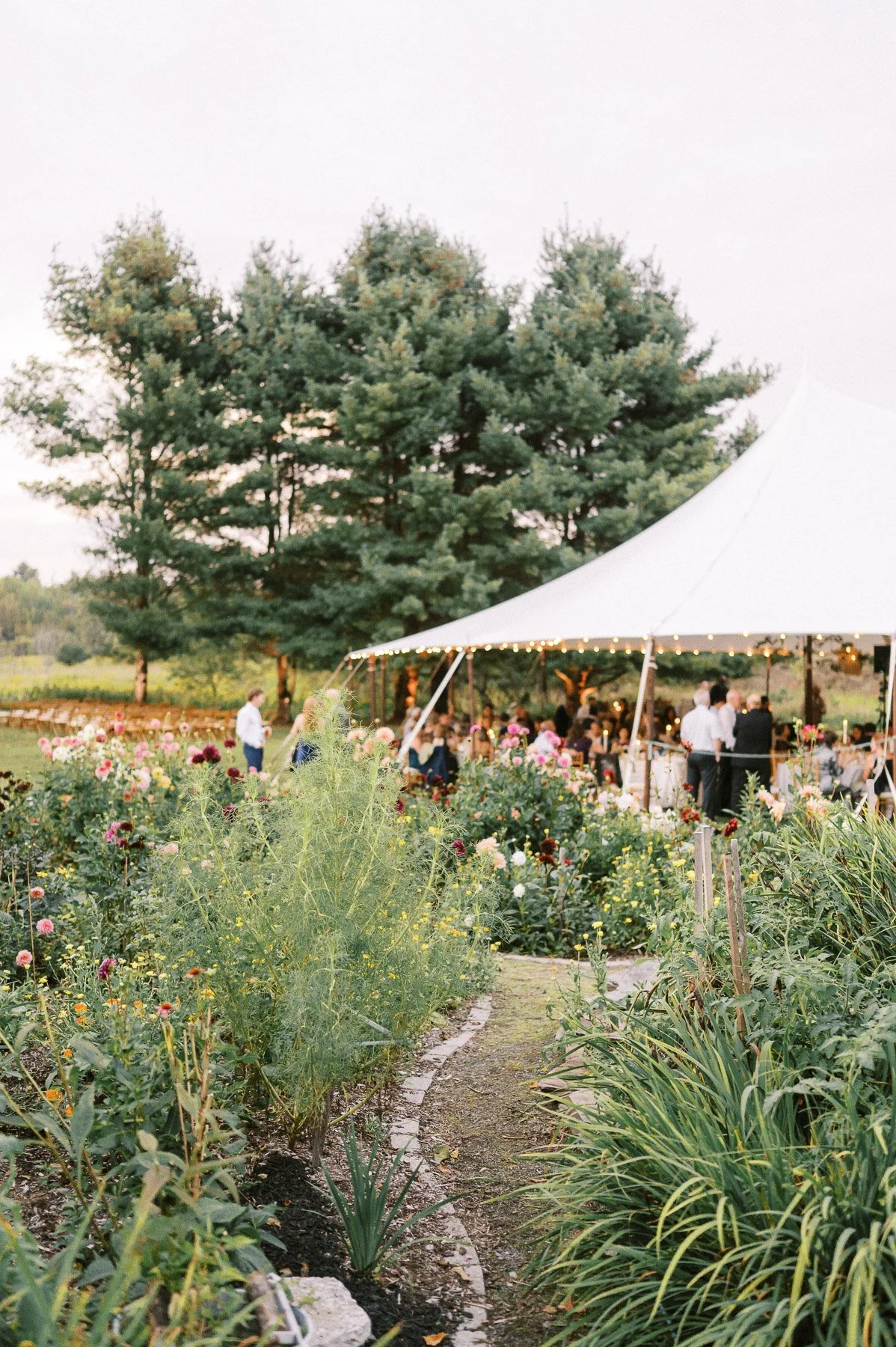 Saratoga NY backyard wedding by Michelle Lange Photography-117.jpg