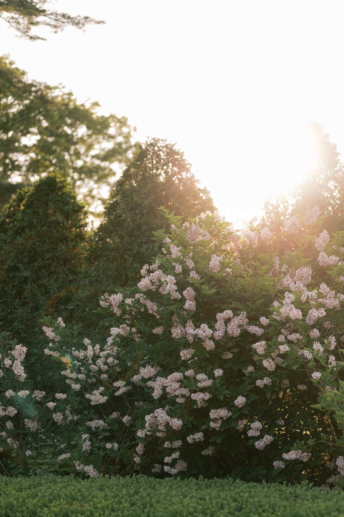 The Mount Wedding Lenox MA 2025 by Michelle Lange Photography-140.jpg