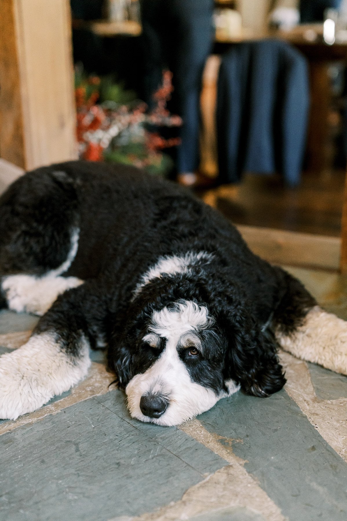 Hildene Estate Wedding by Michelle Lange Photography-20.jpg