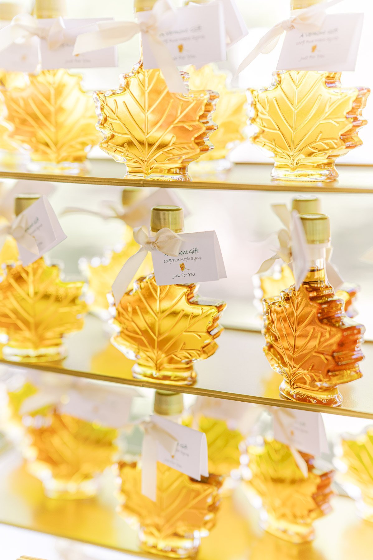 Hildene Estate Wedding by Michelle Lange Photography-48.jpg