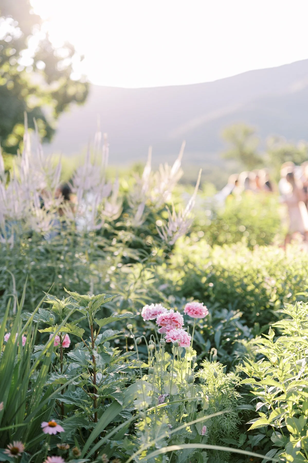 Hildene Estate Wedding by Michelle Lange Photography-82.jpg