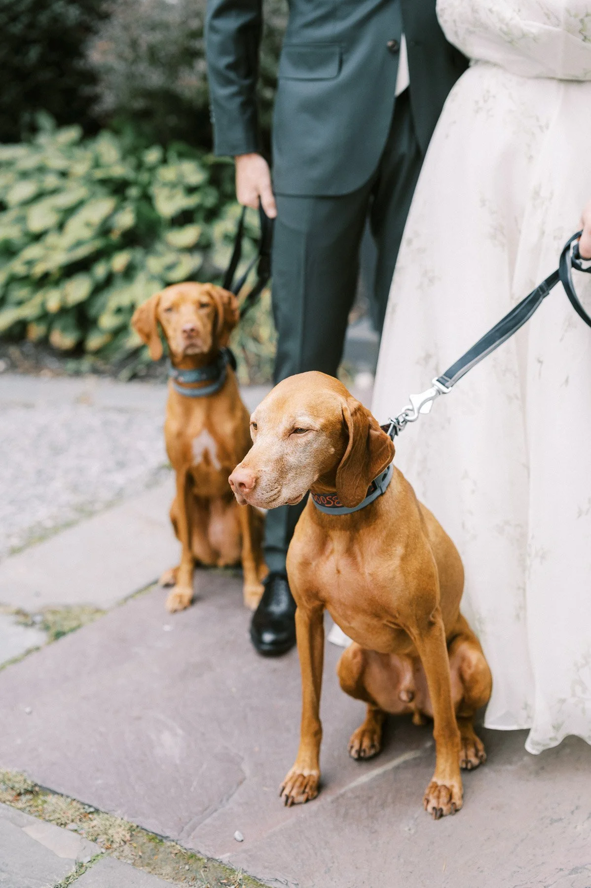 Chateau on the Lake Wedding by Michelle Lange Photography-24.jpg