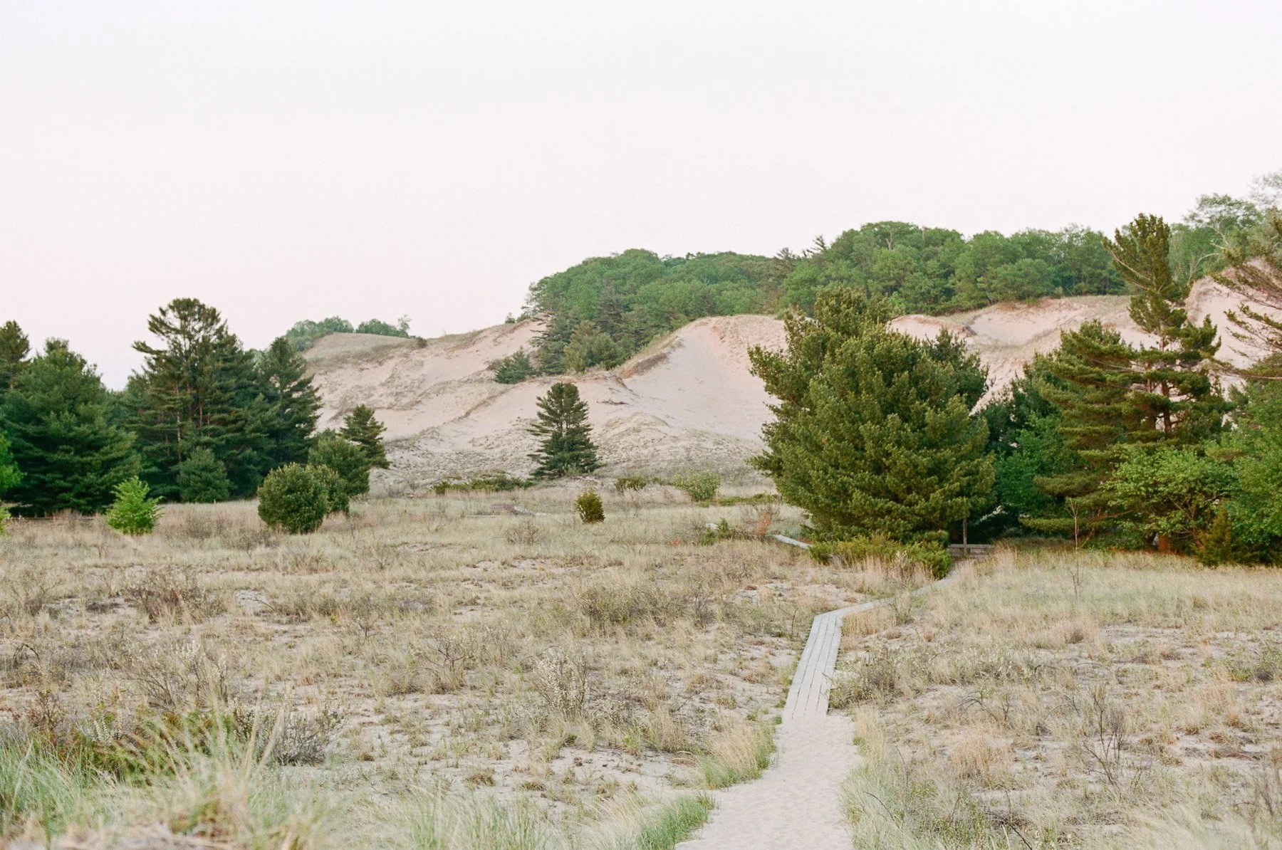 Michigan maternity photos by NY family photographer Michelle Lange-20.jpg