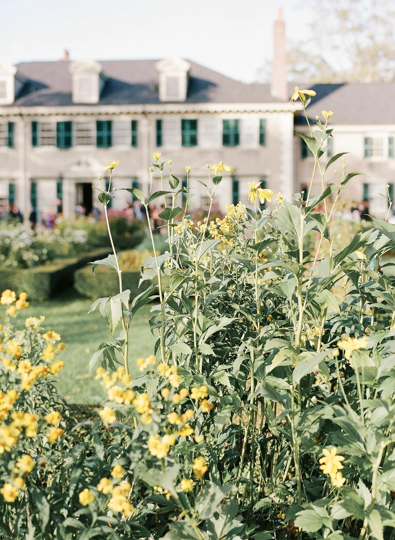 Hildene Estate Fall Wedding Manchester Vermont-41.jpg