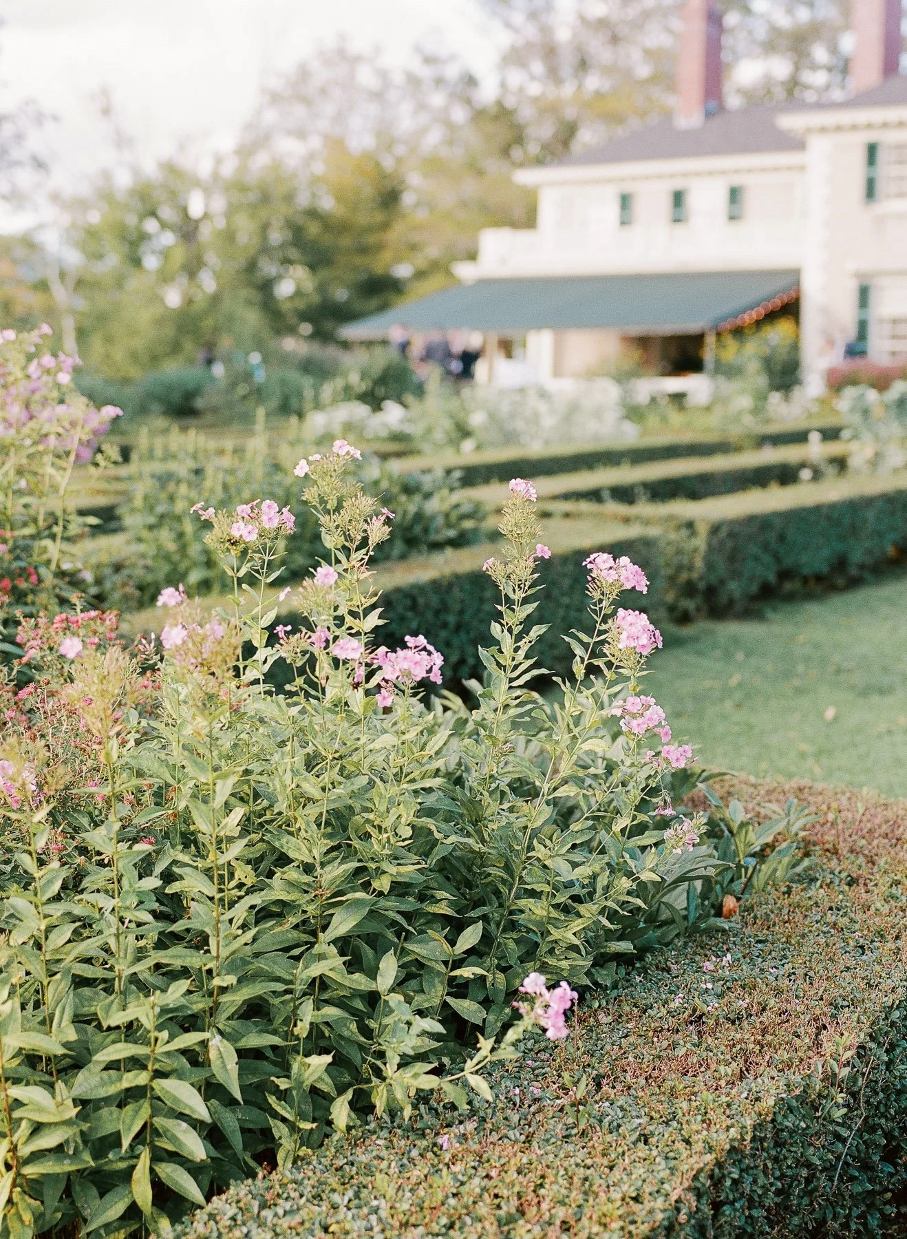 Hildene Estate Fall Wedding Manchester Vermont-68.jpg