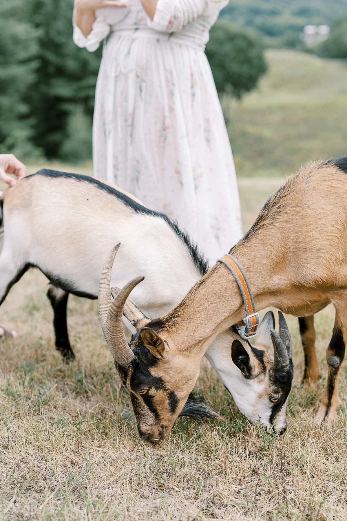 Upstate NY Newborn Photographer by Michelle Lange Photography-29.jpg