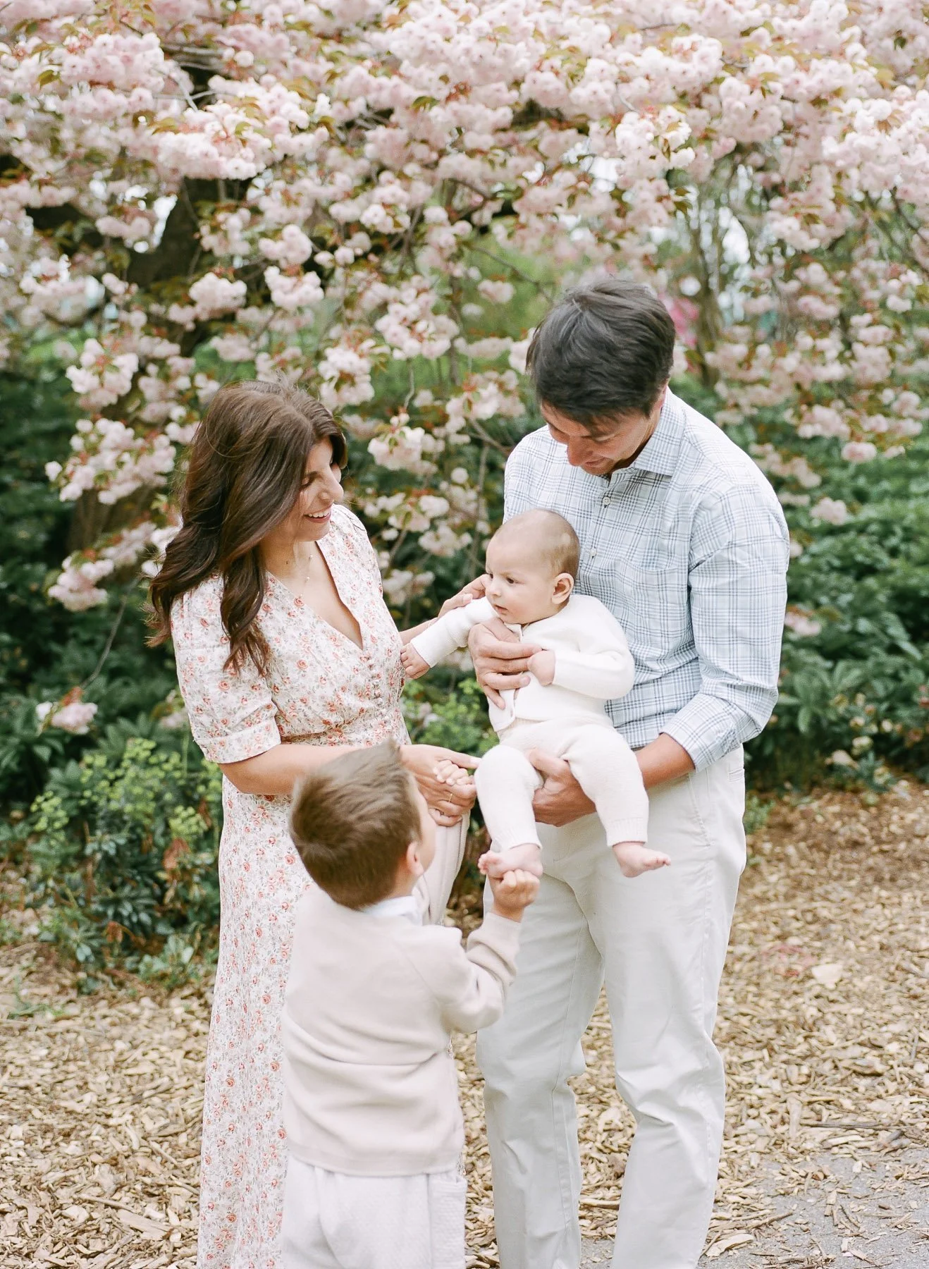 NYC Blossom family portraits by Michelle Lange Photography-5.jpg